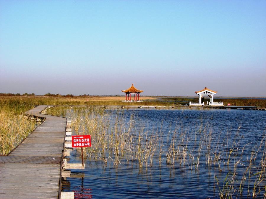 二龙潭国家湿地公园旅行图片 3