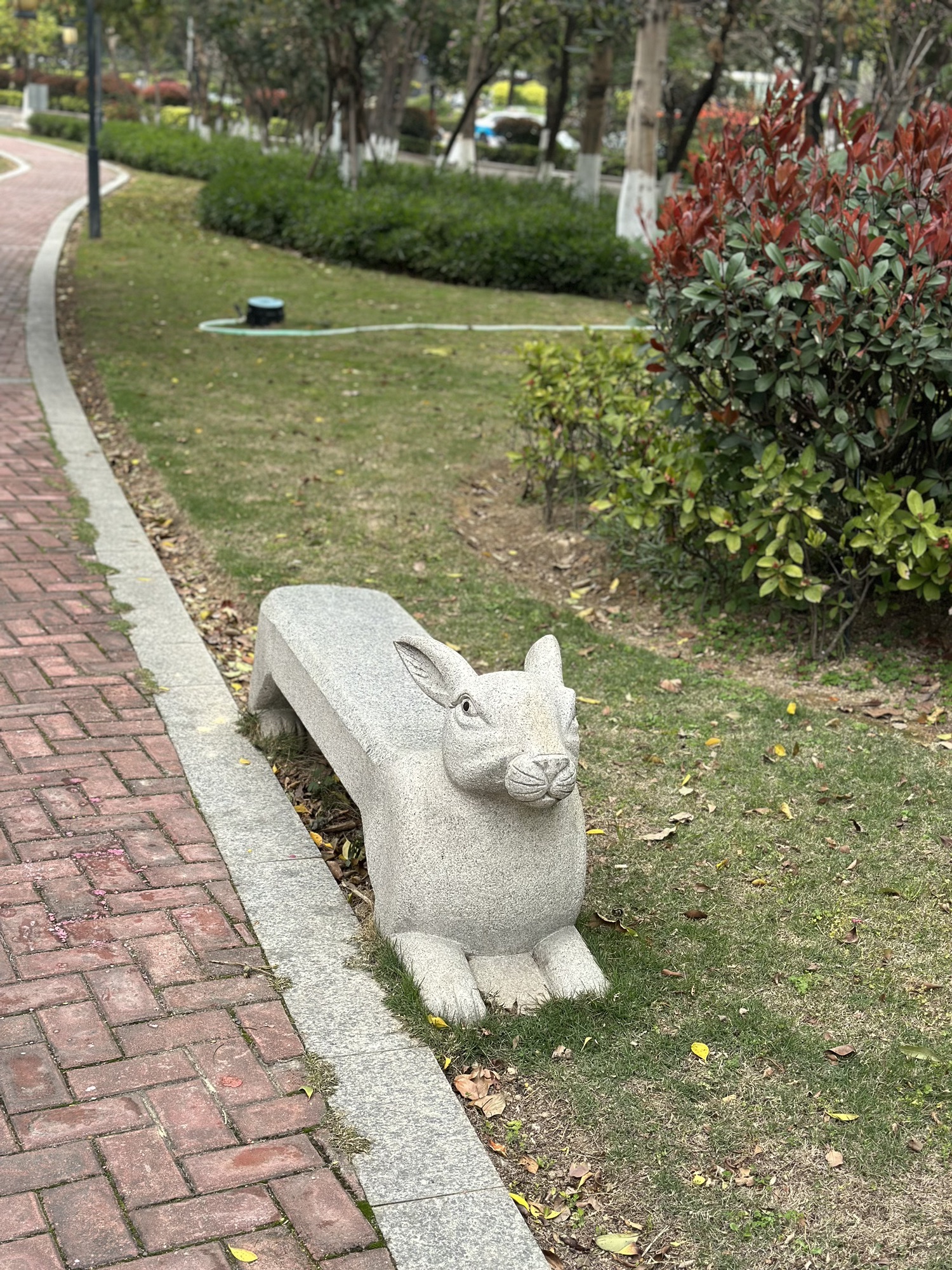 莲花公园旅行图片 2