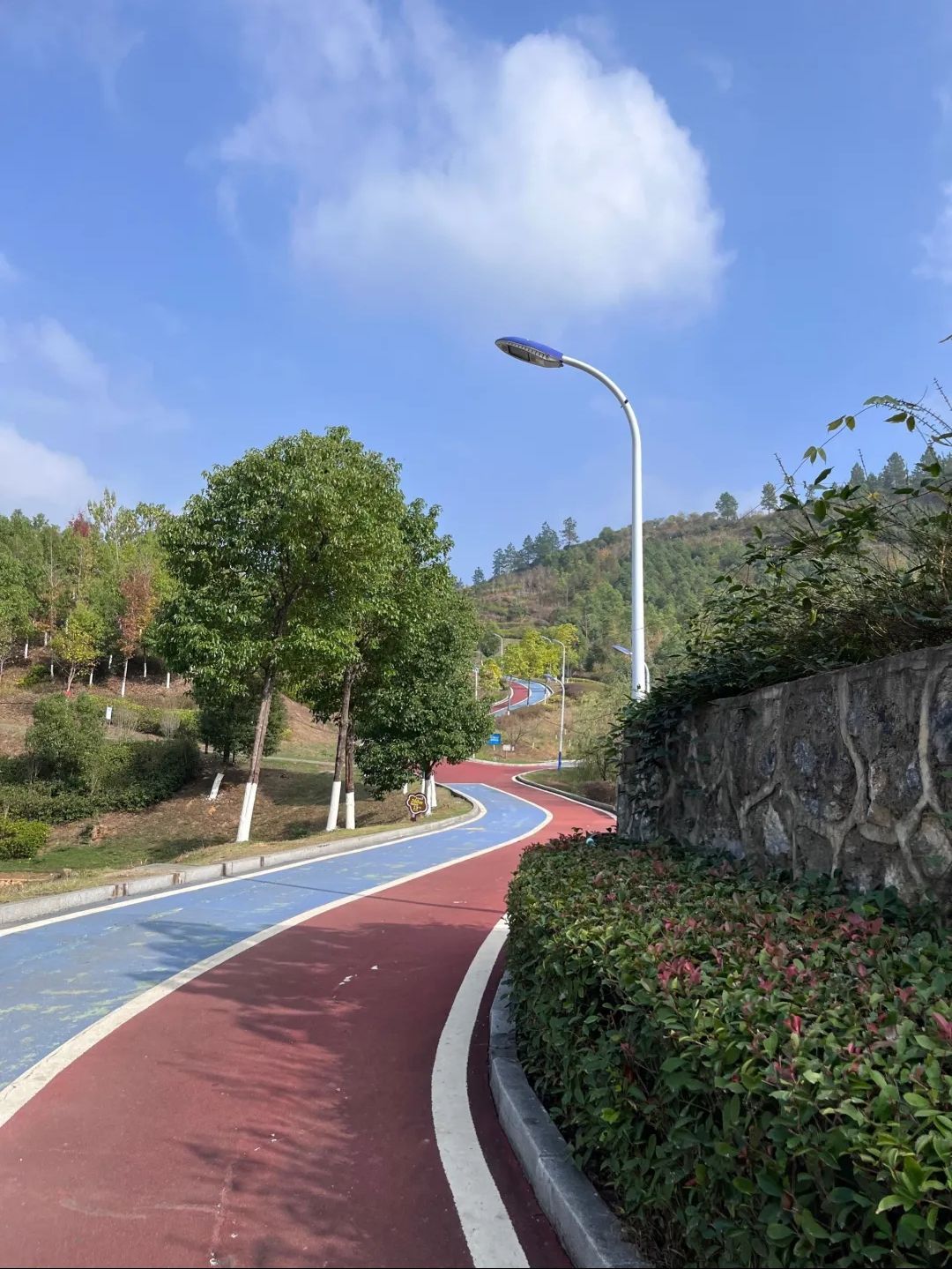栗江公园旅行图片 1