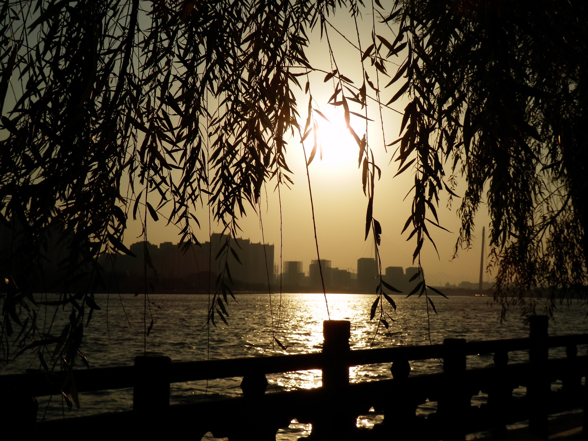 宁波滨江体育公园旅行图片 3