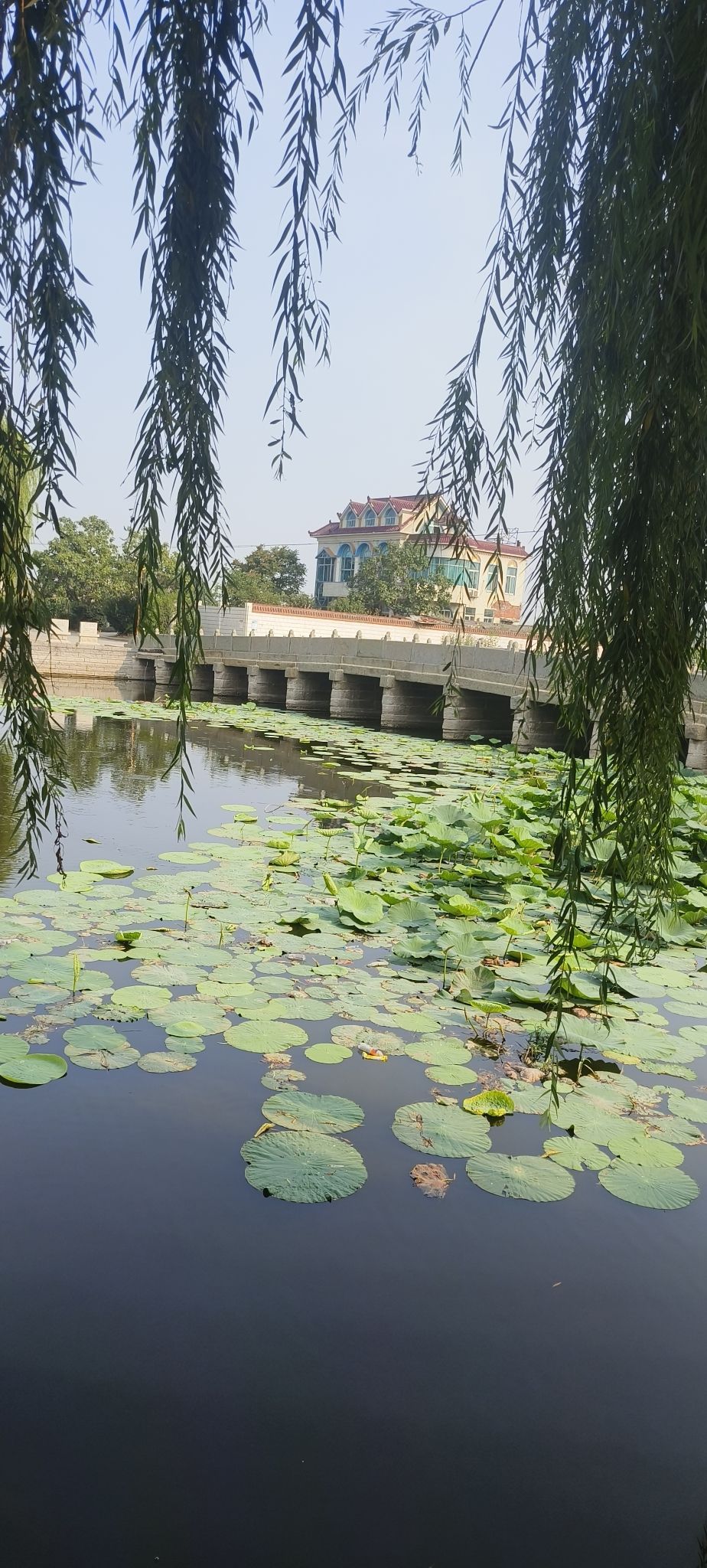 太平桥旅行图片 2