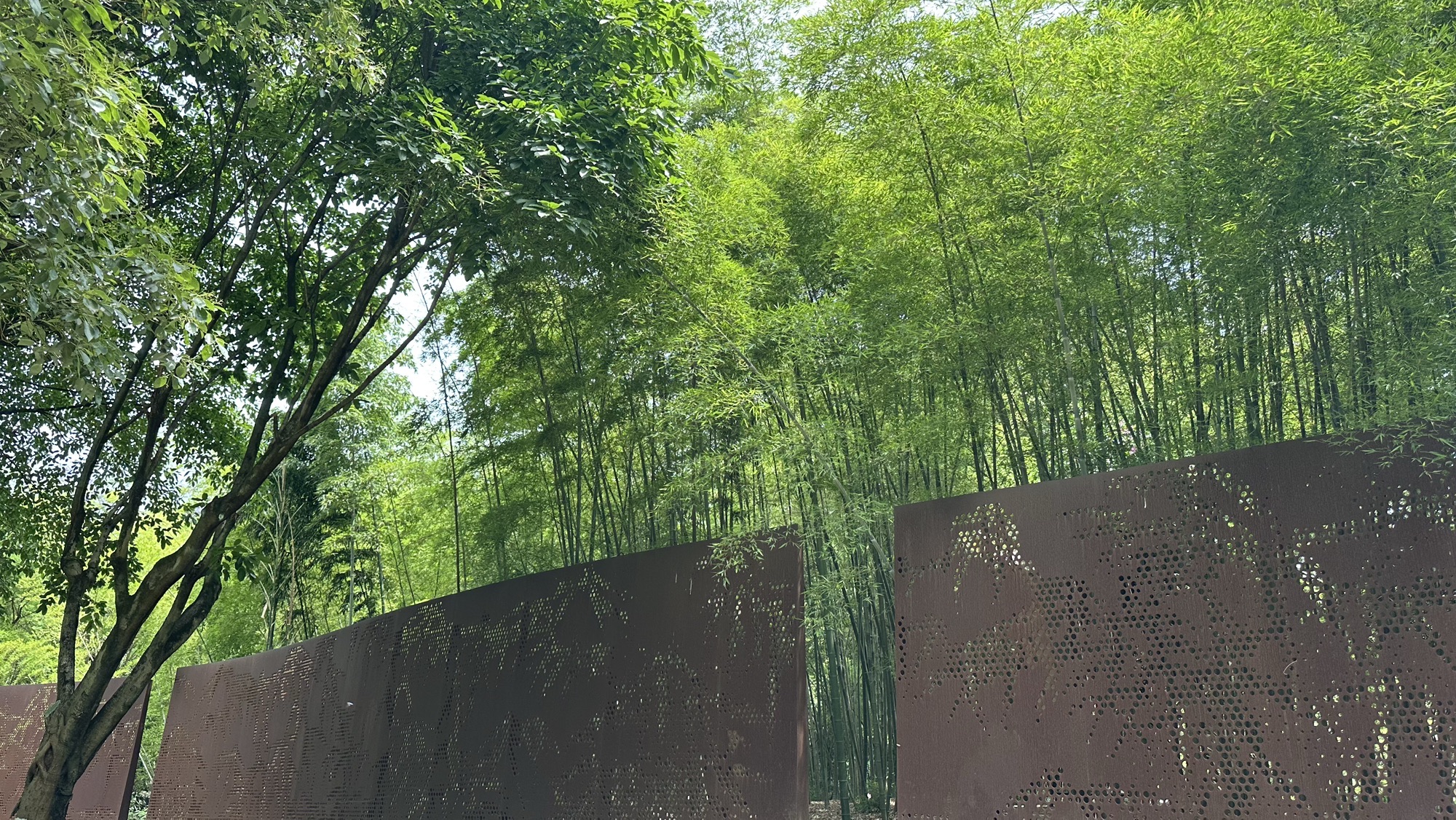 重庆市特殊教育中心