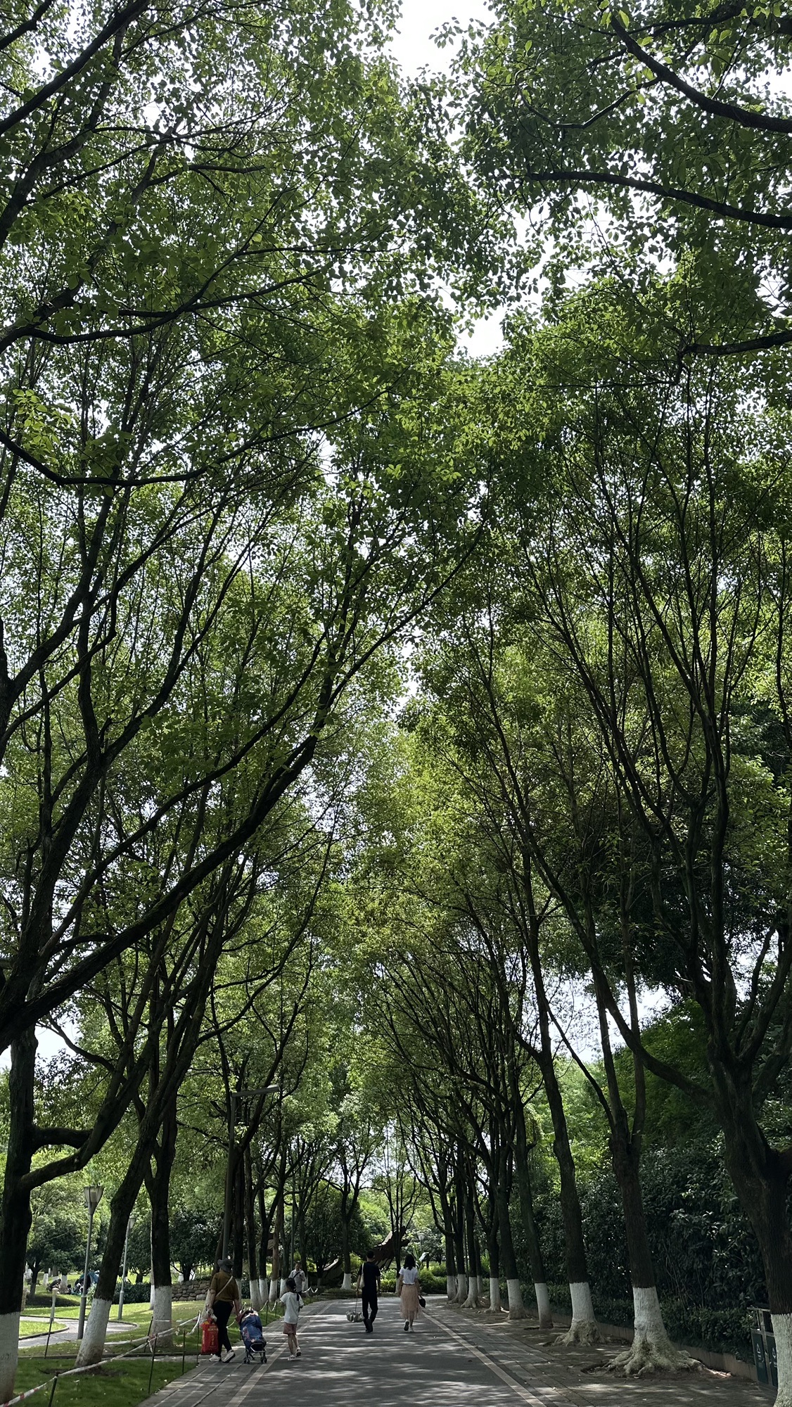 重庆市特殊教育中心