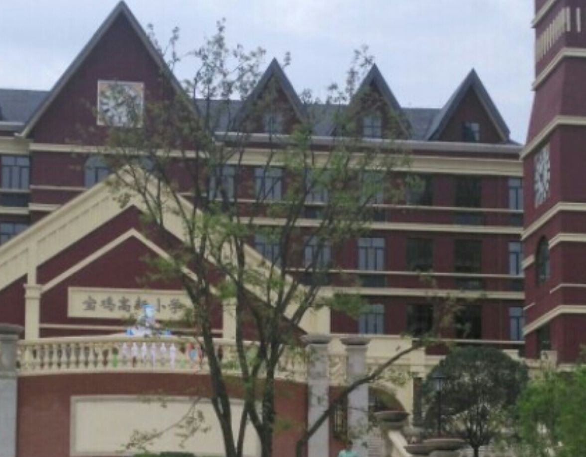 宝鸡高新小学