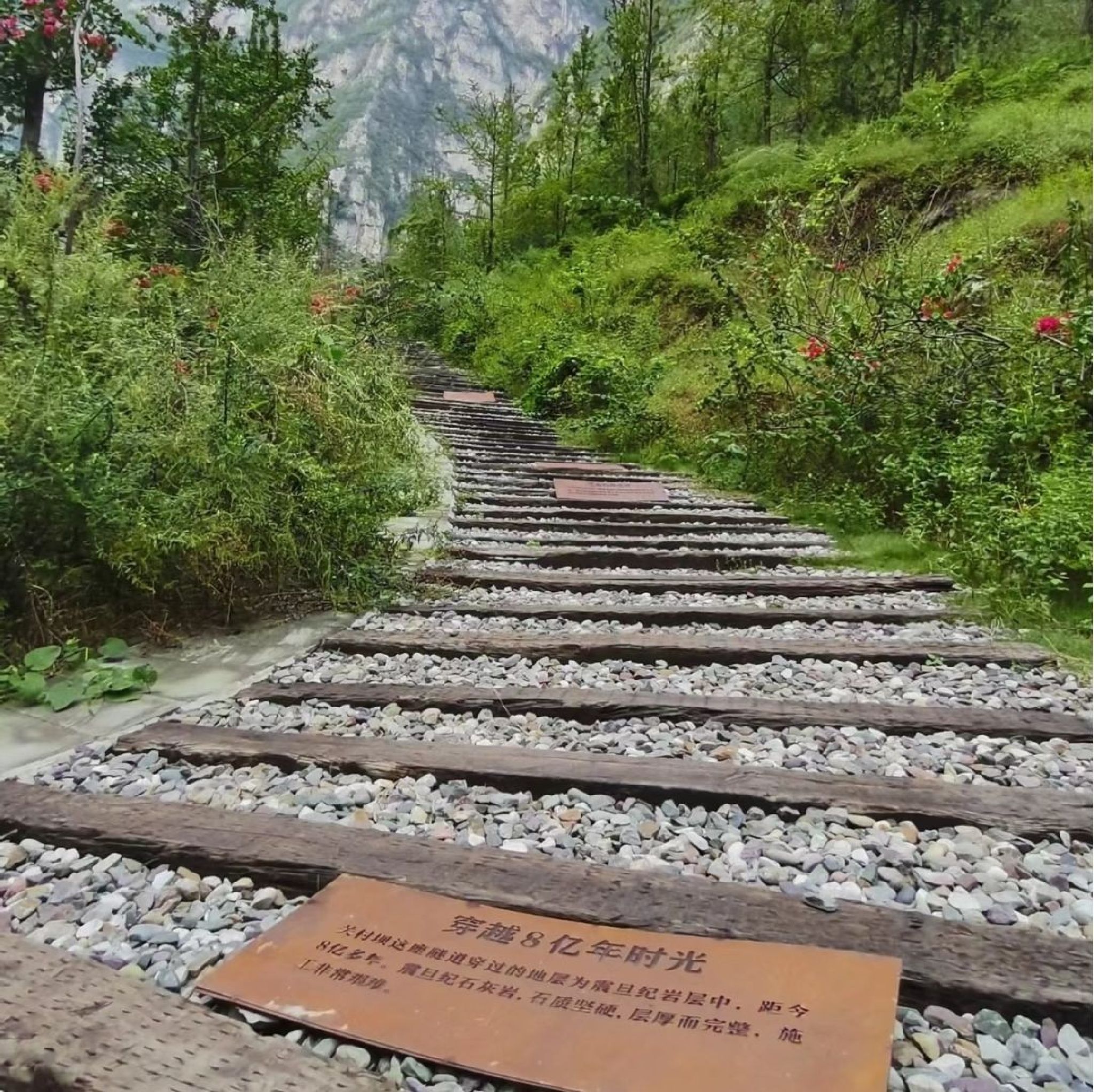 大渡河金口大峡谷旅游景区旅行图片 3