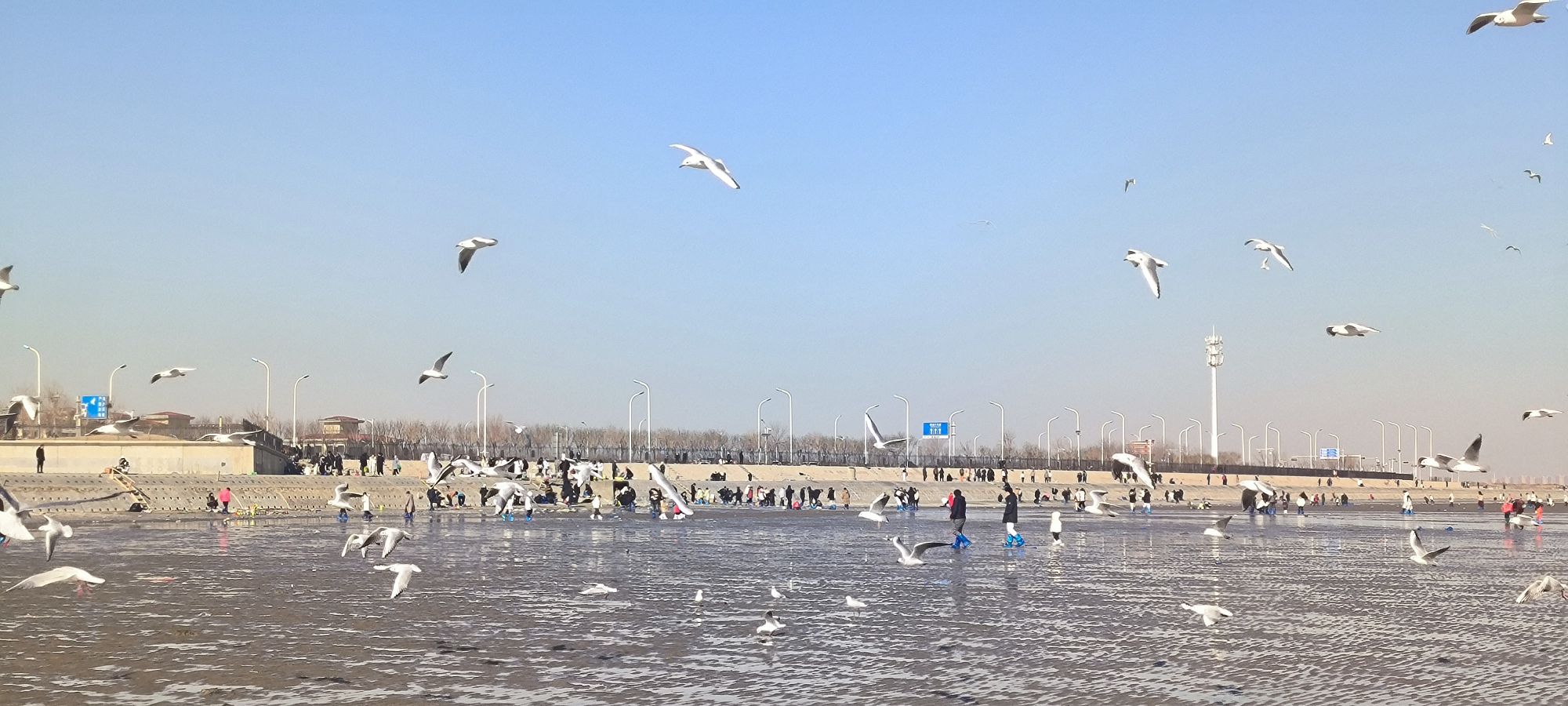 东疆亲海公园旅行图片 1