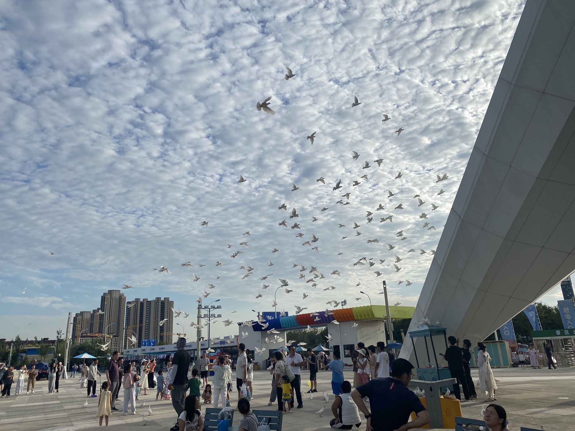 东疆亲海公园旅行图片 3
