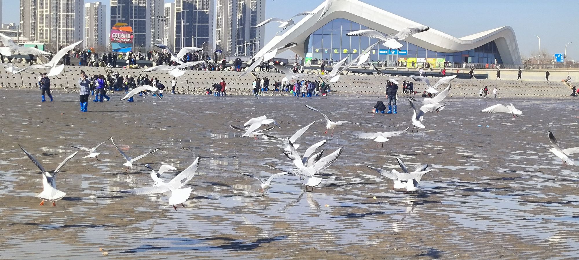 东疆亲海公园旅行图片 2