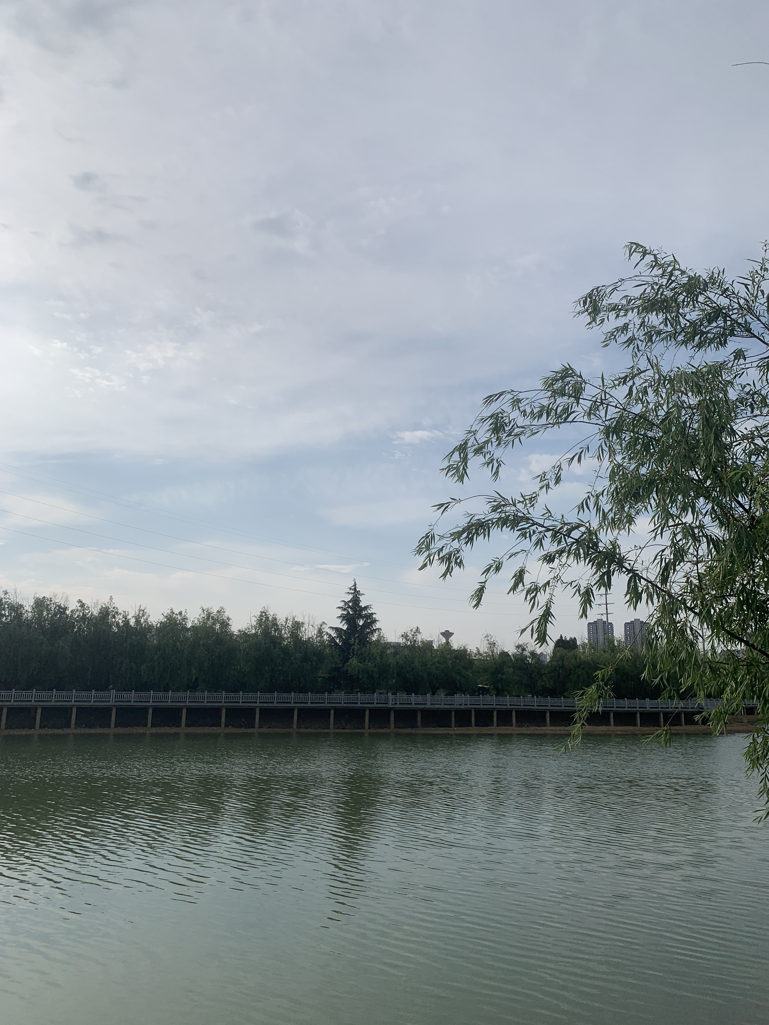 三合生态体育公园旅行图片 1