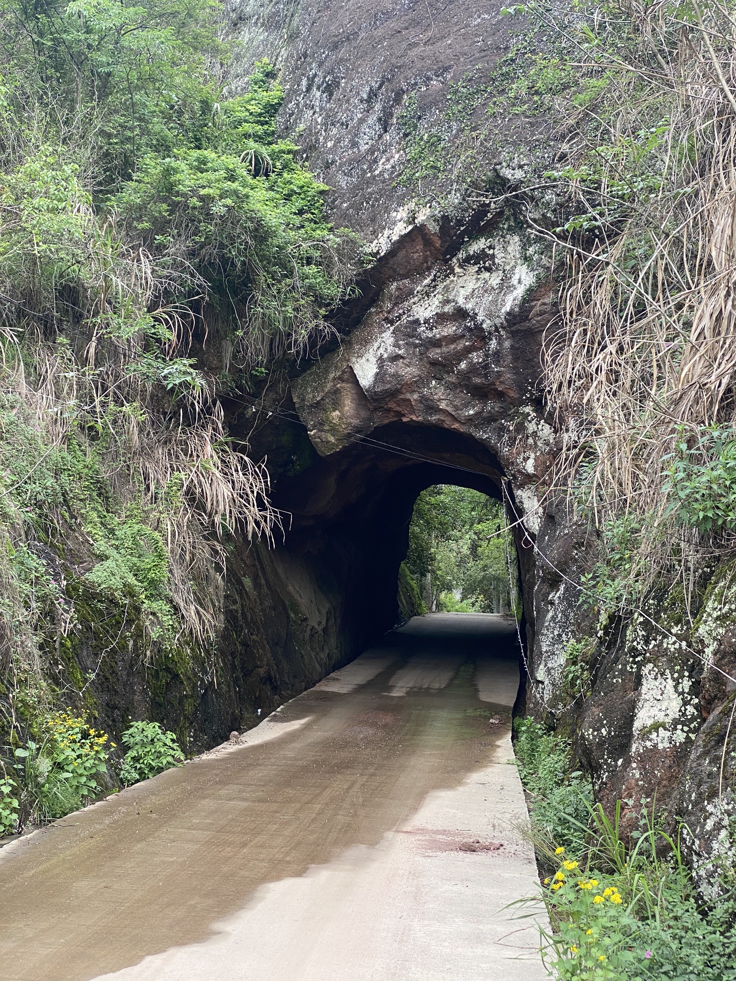 万笏朝天旅行图片 2