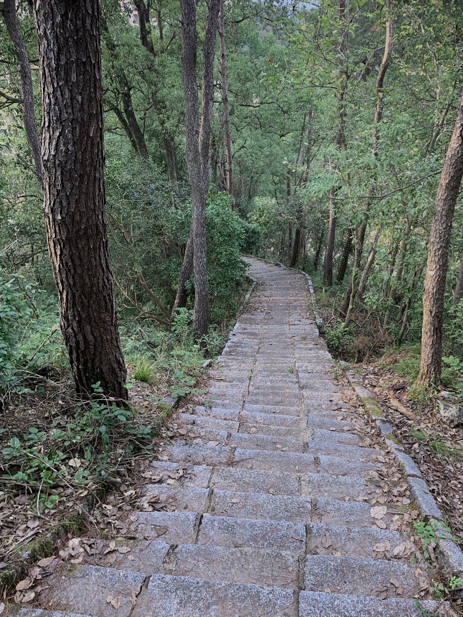 万笏朝天旅行图片 1