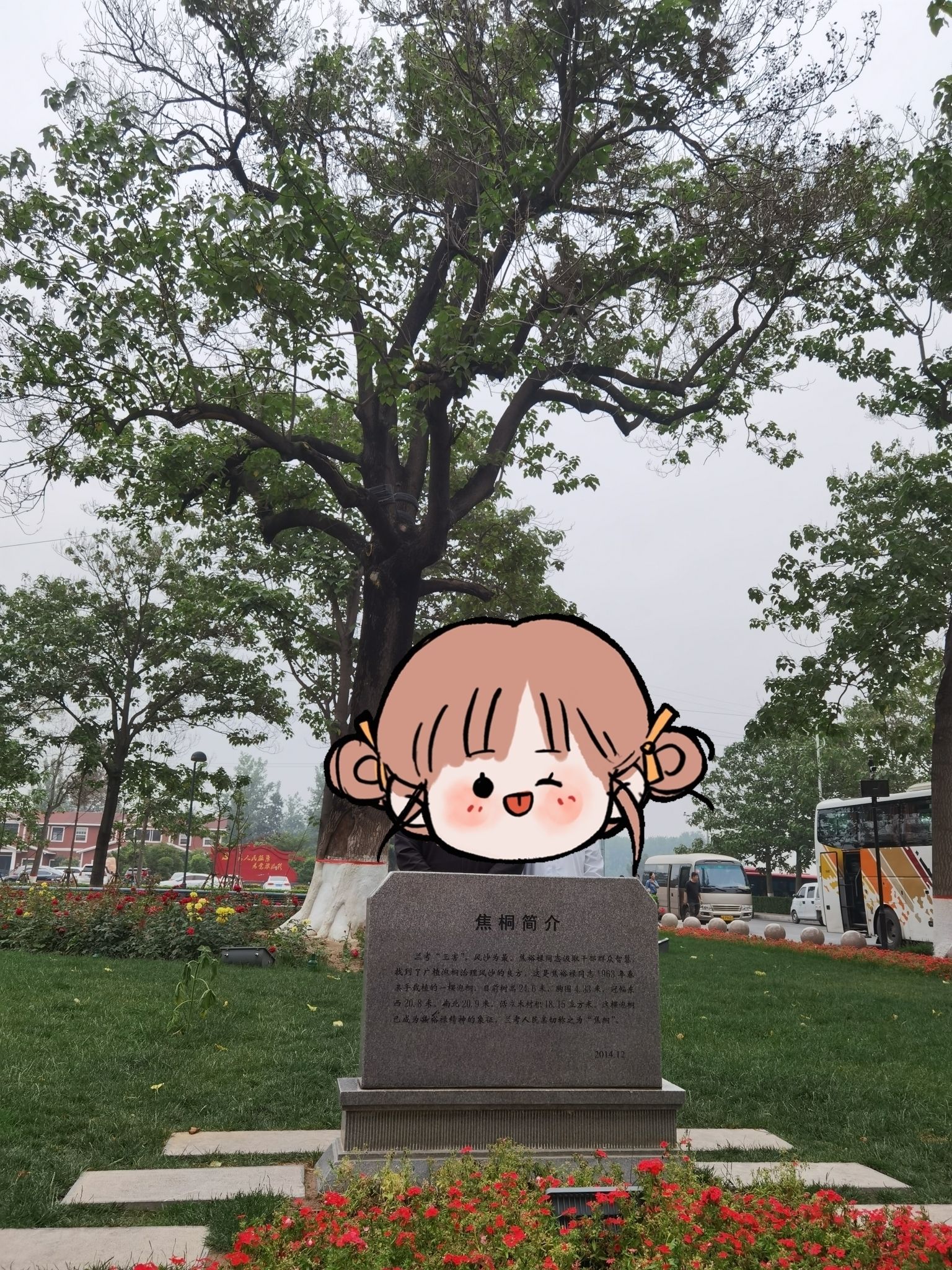 焦桐广场旅行图片 1