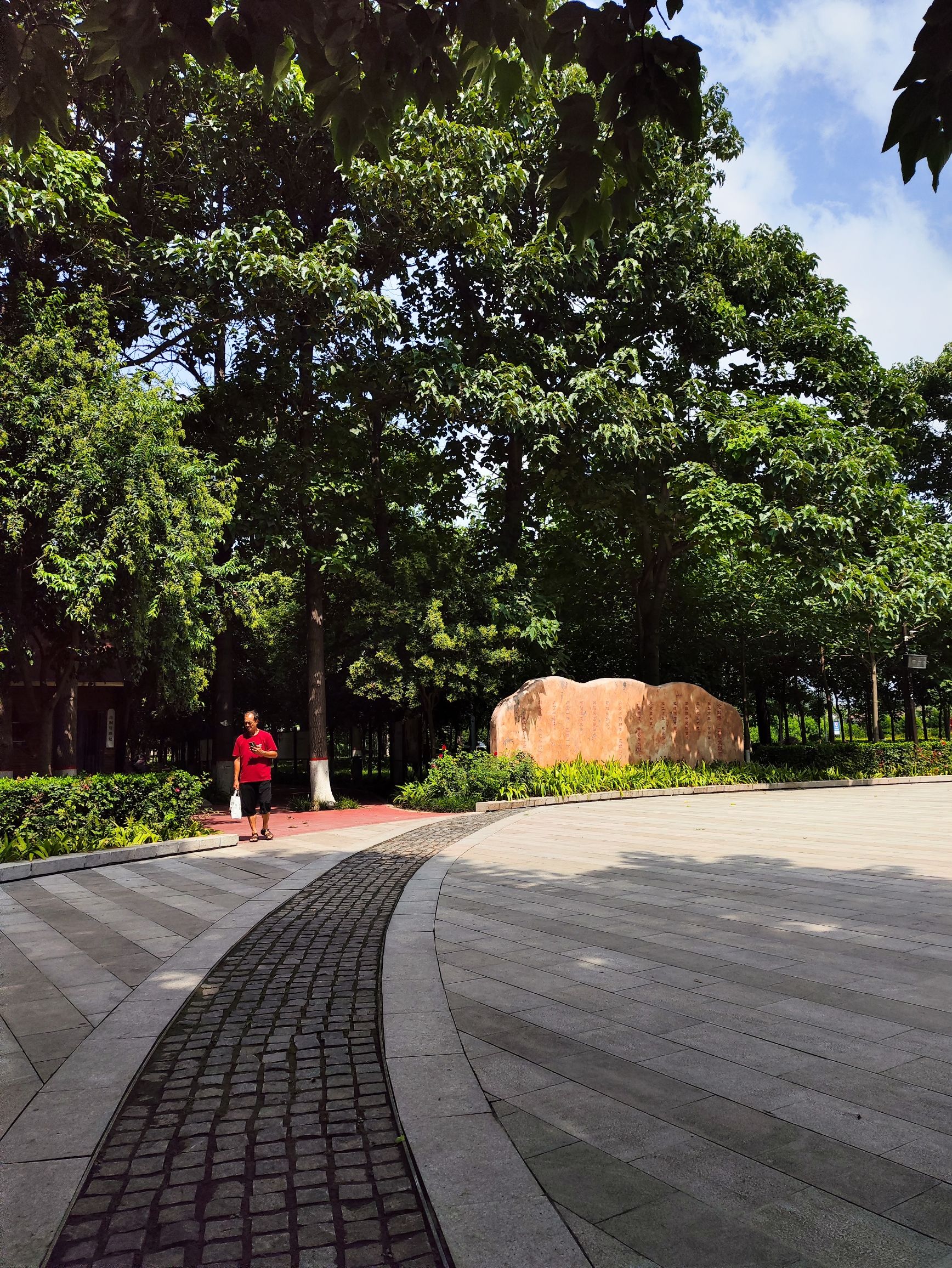 焦桐广场旅行图片 3