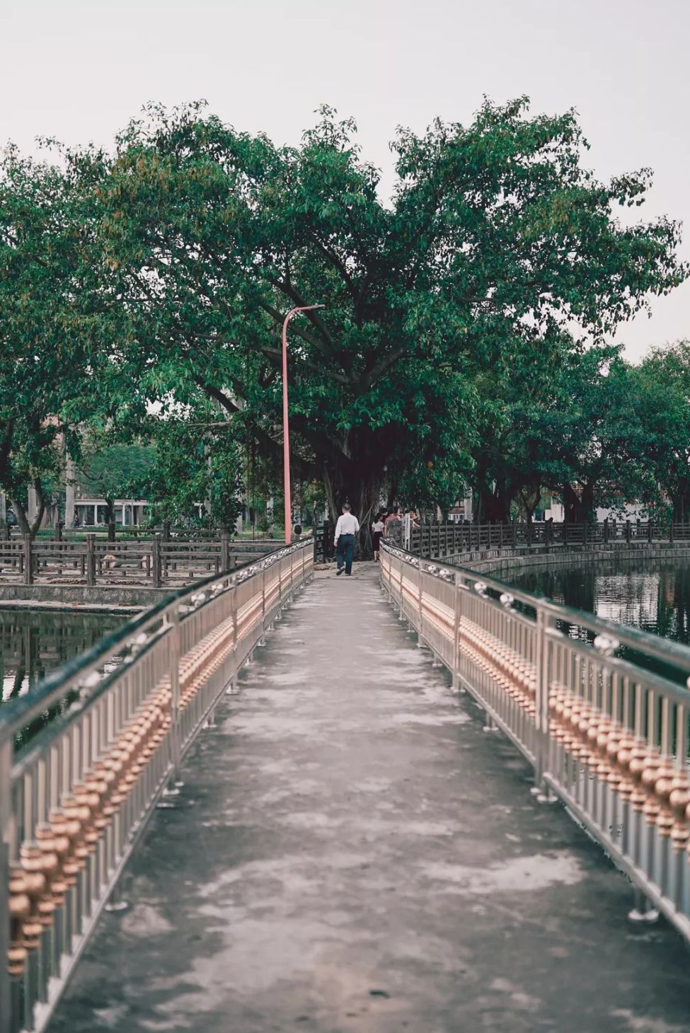 西凤公园旅行图片 3