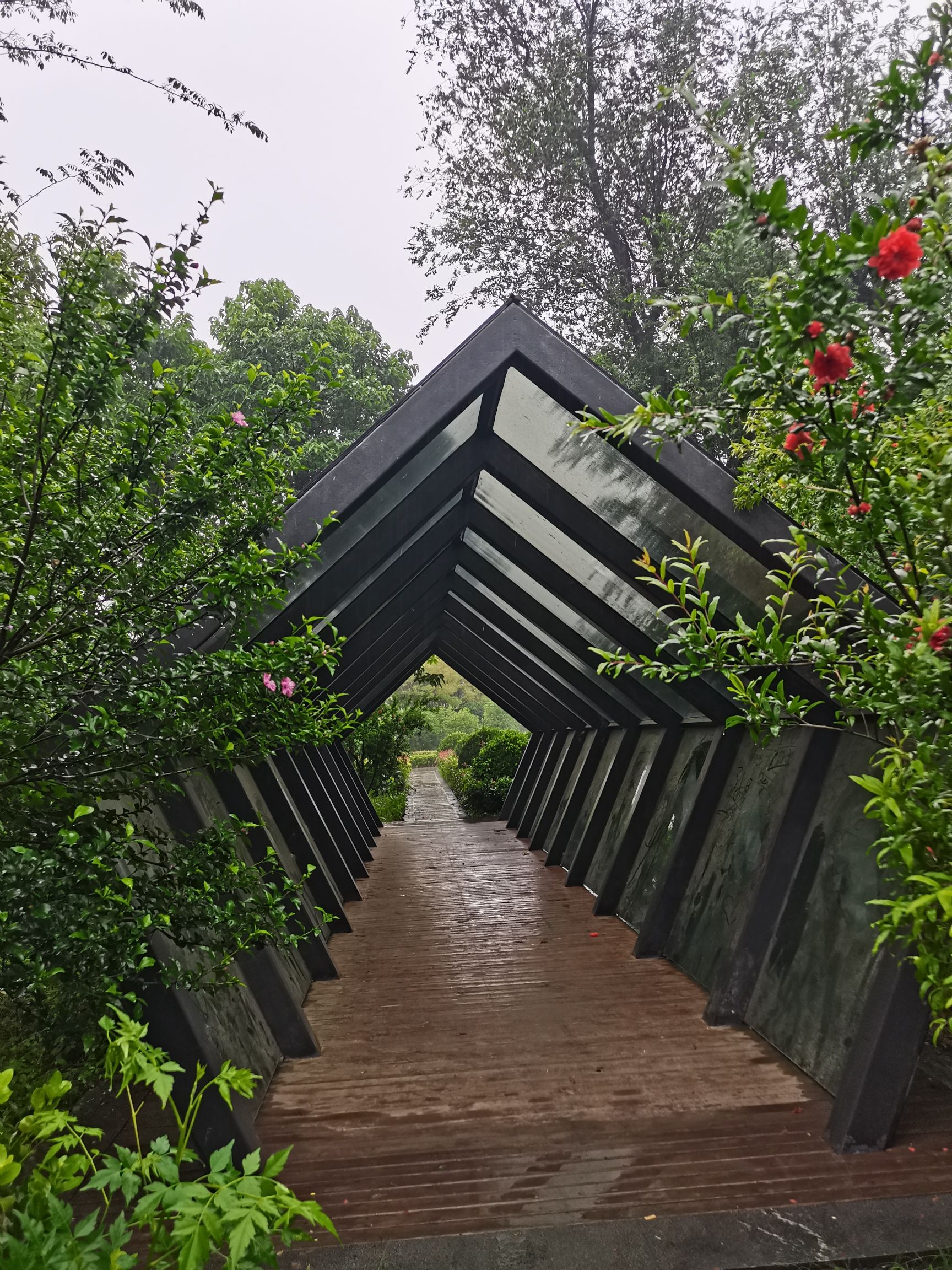 运河公园旅行图片 3
