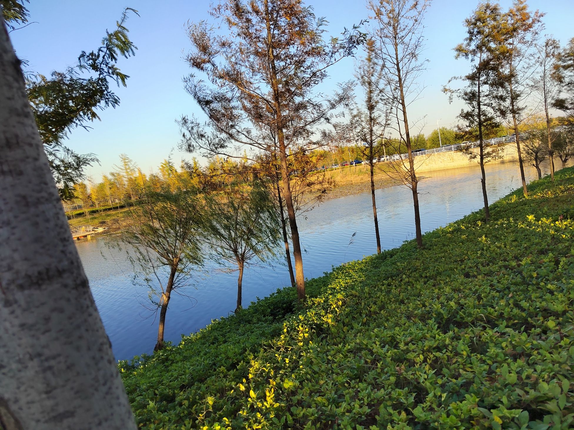 运河公园旅行图片 2