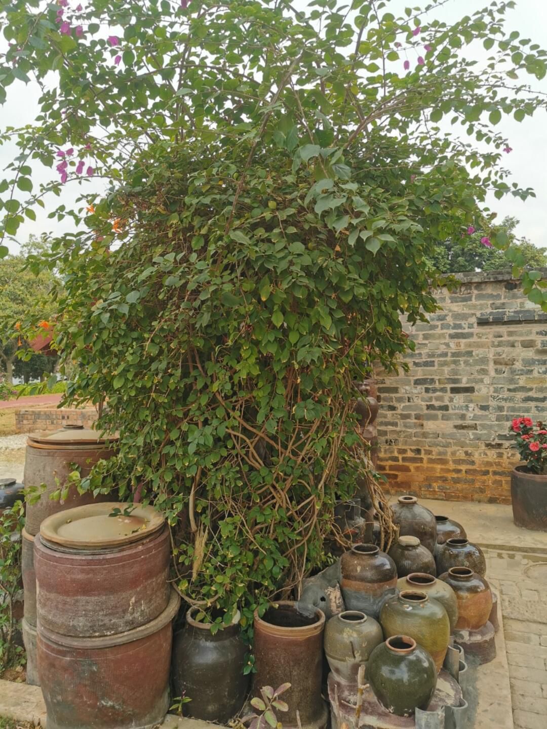 缸瓦窑文化艺术村旅行图片 1