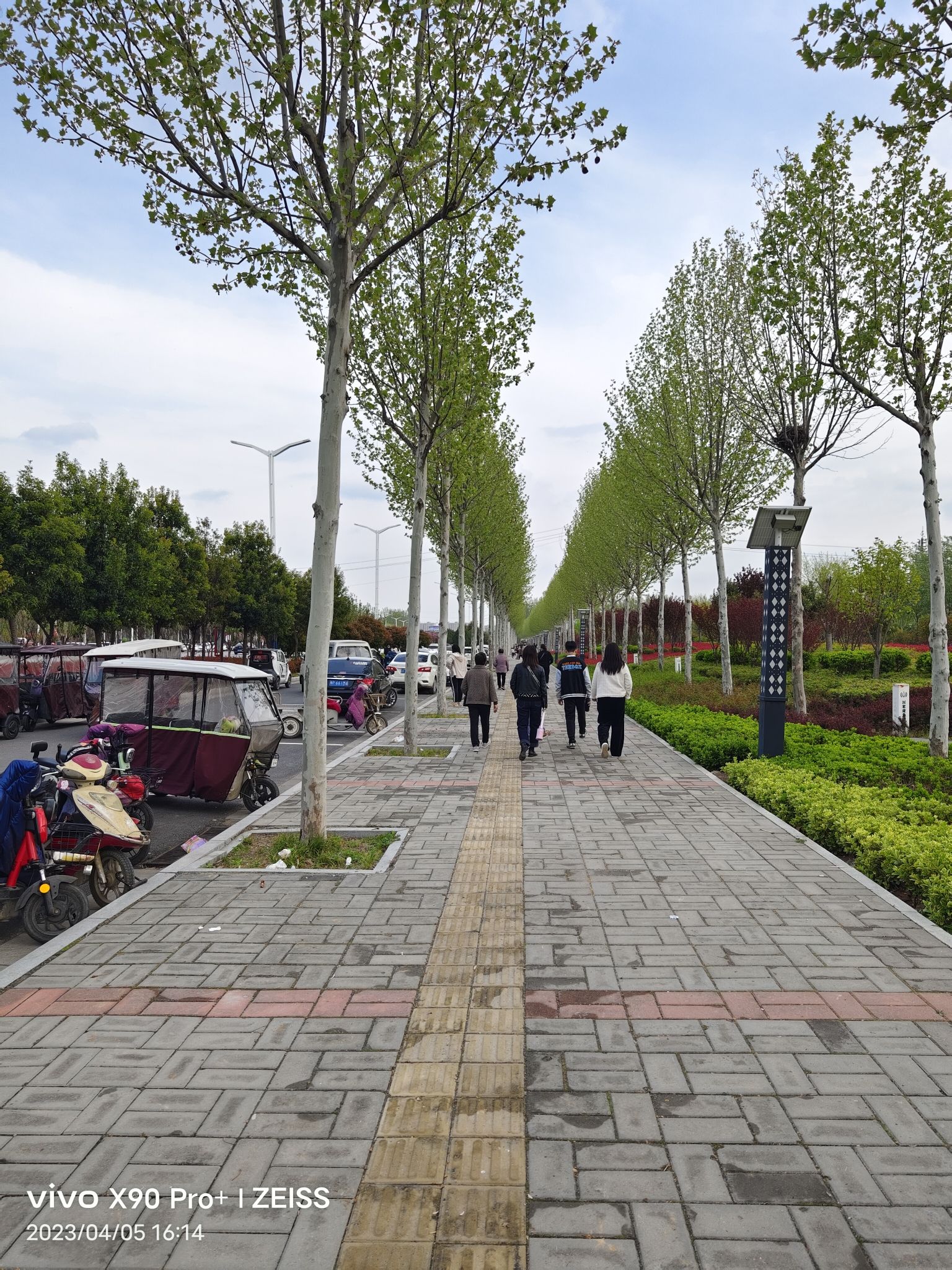 项城植物园旅行图片 1
