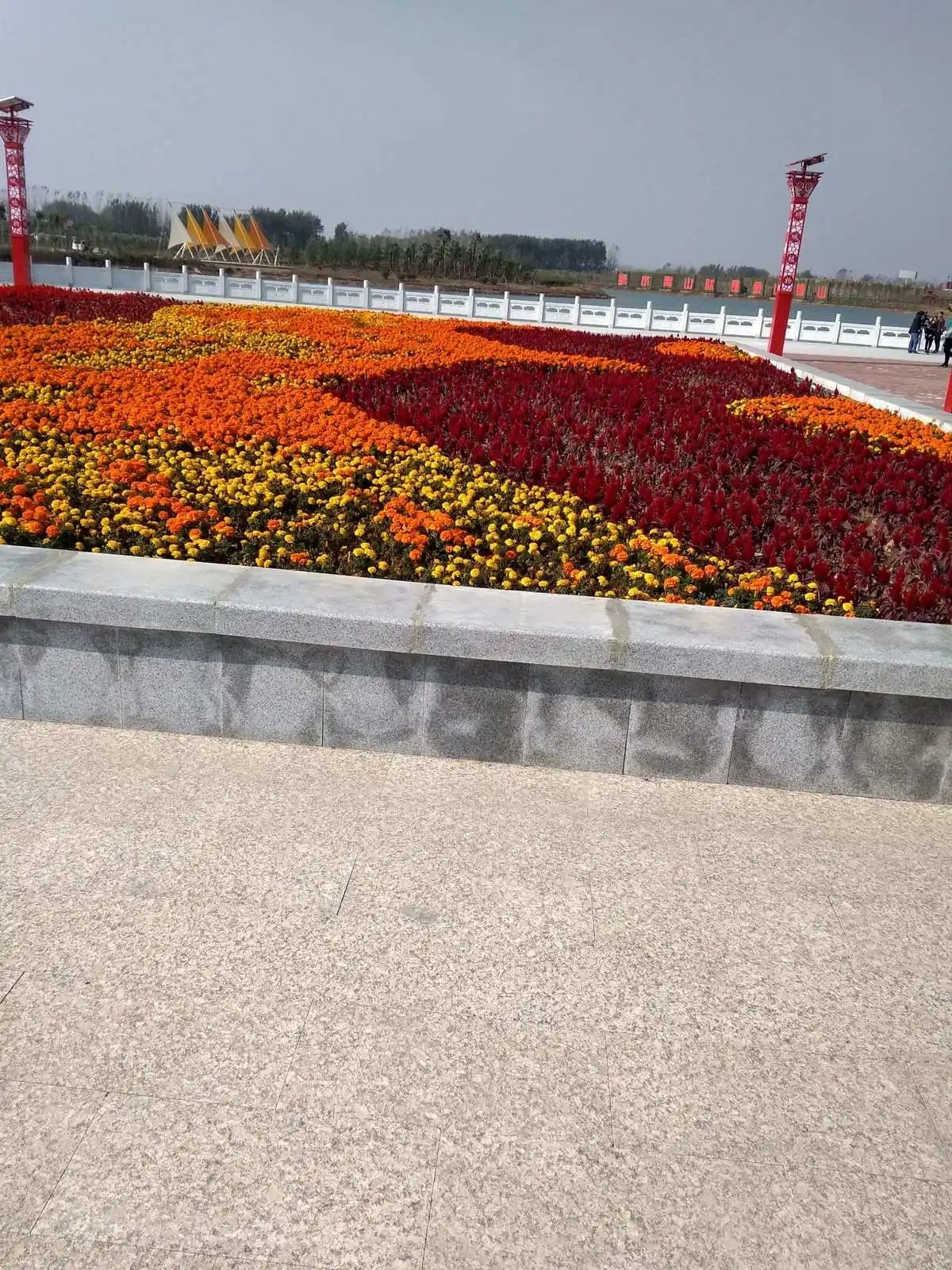 项城植物园旅行图片 1