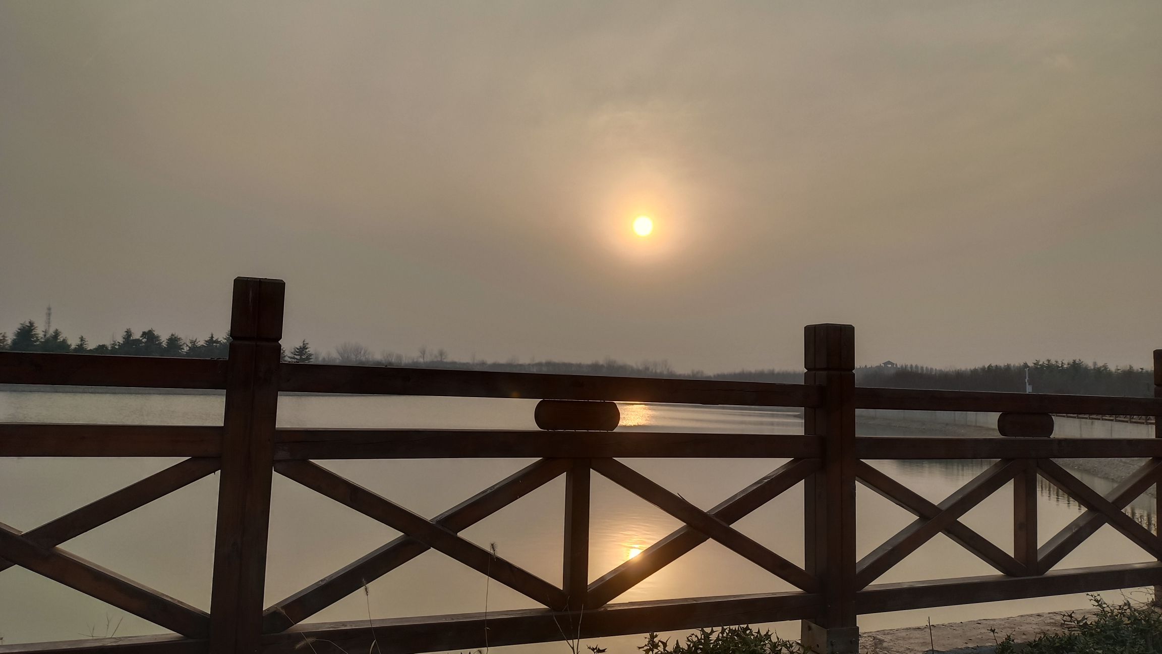 项城植物园旅行图片 3