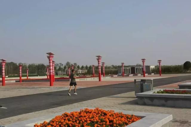 项城植物园旅行图片 2