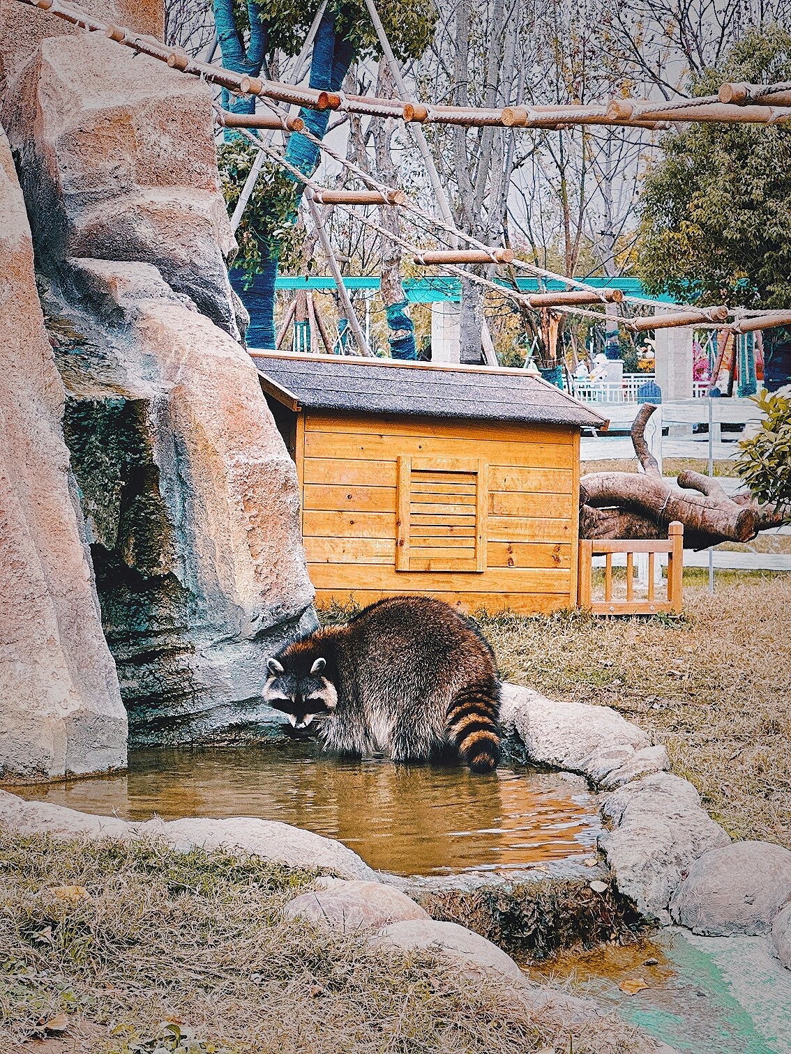 森灵欢乐世界旅行图片 2