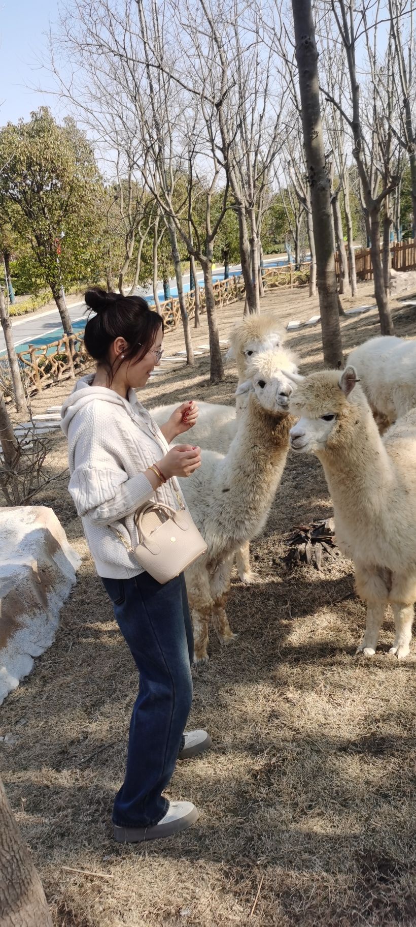 森灵欢乐世界旅行图片 2