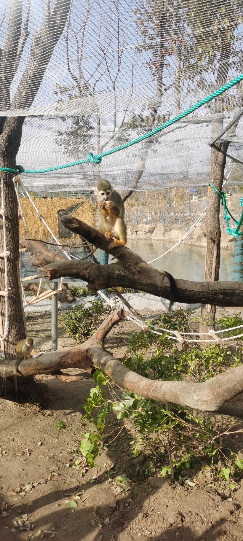 森灵欢乐世界旅行图片 1