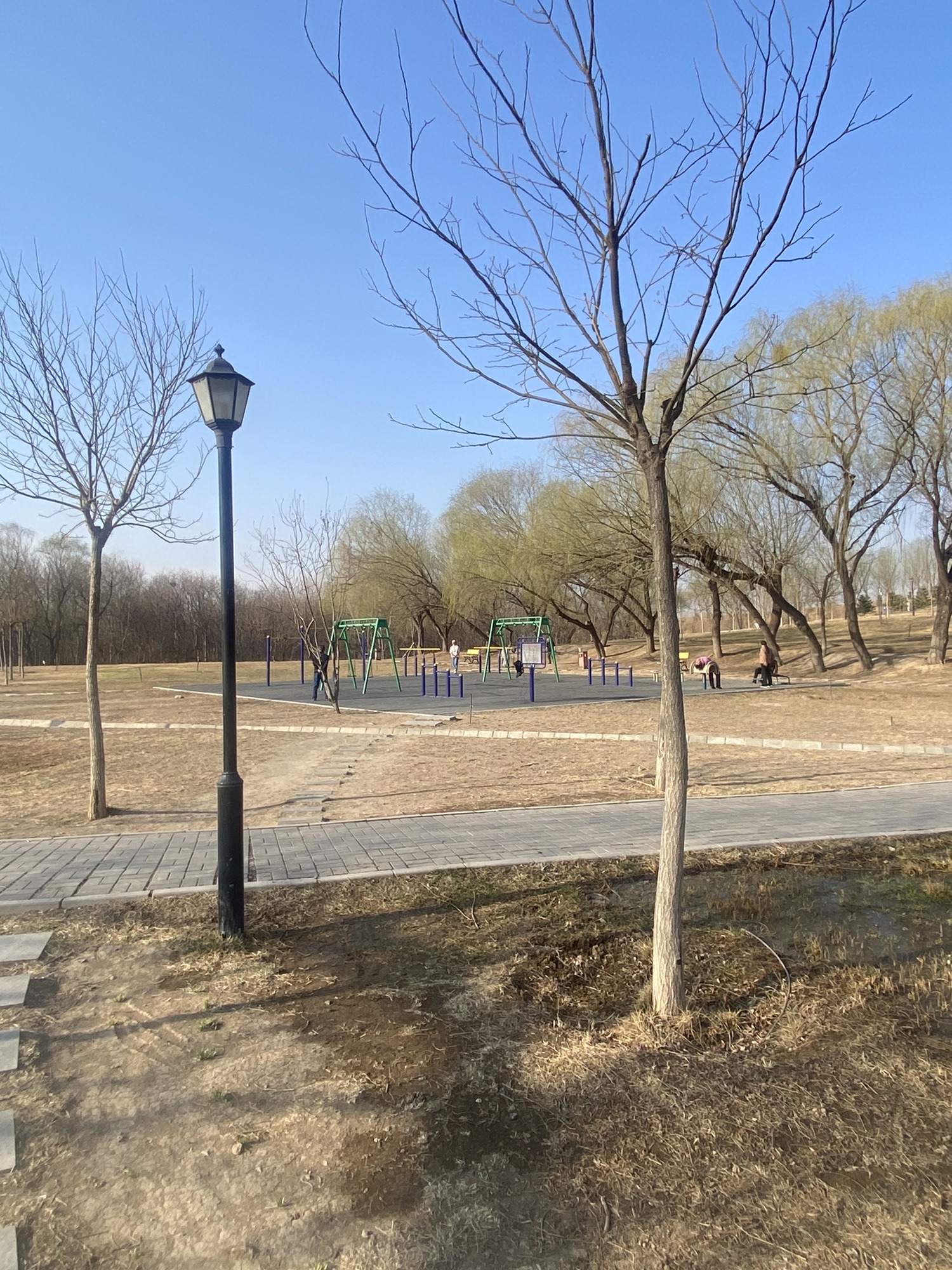 天竺郊野公园旅行图片 2