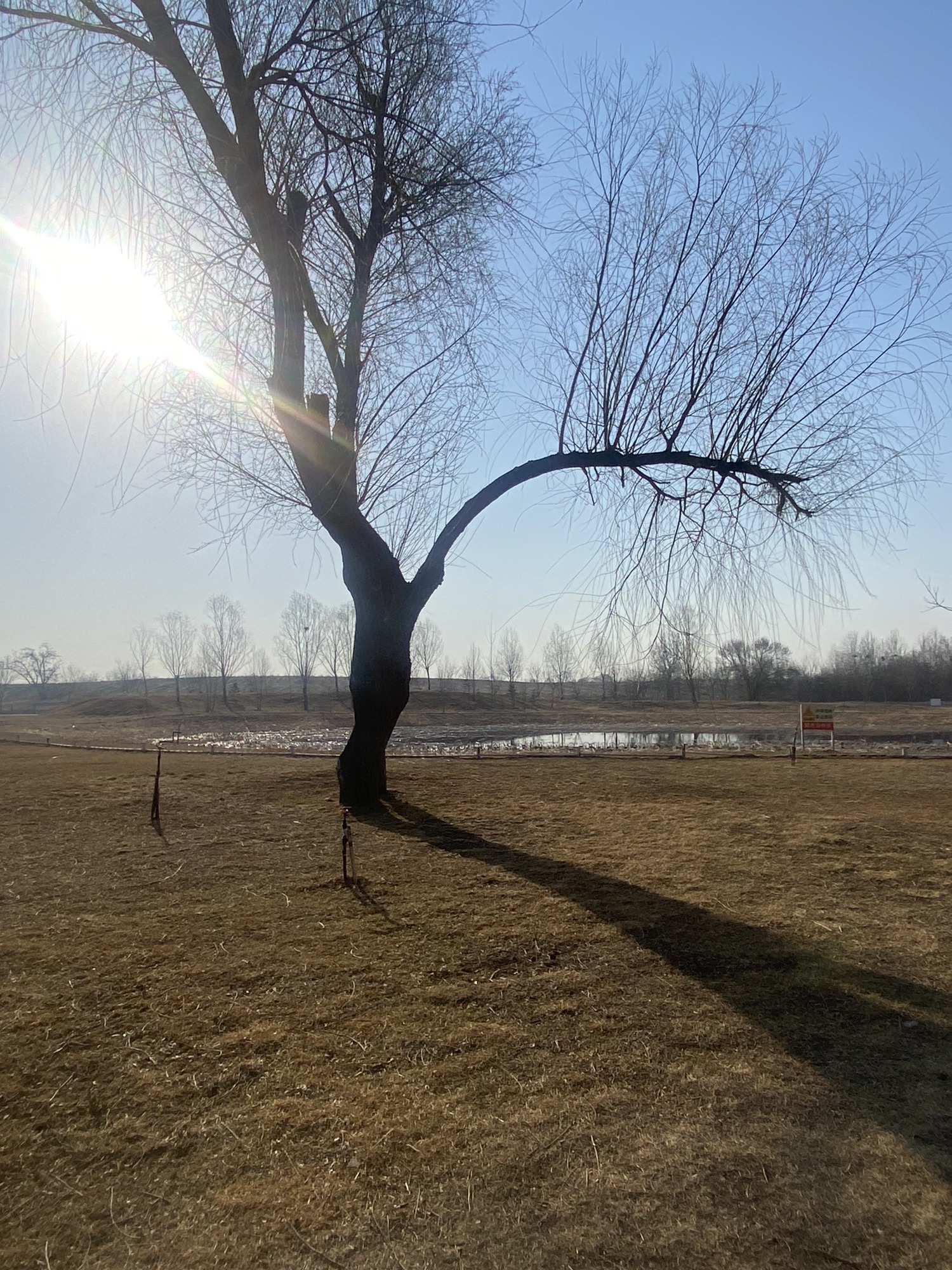 天竺郊野公园旅行图片 3