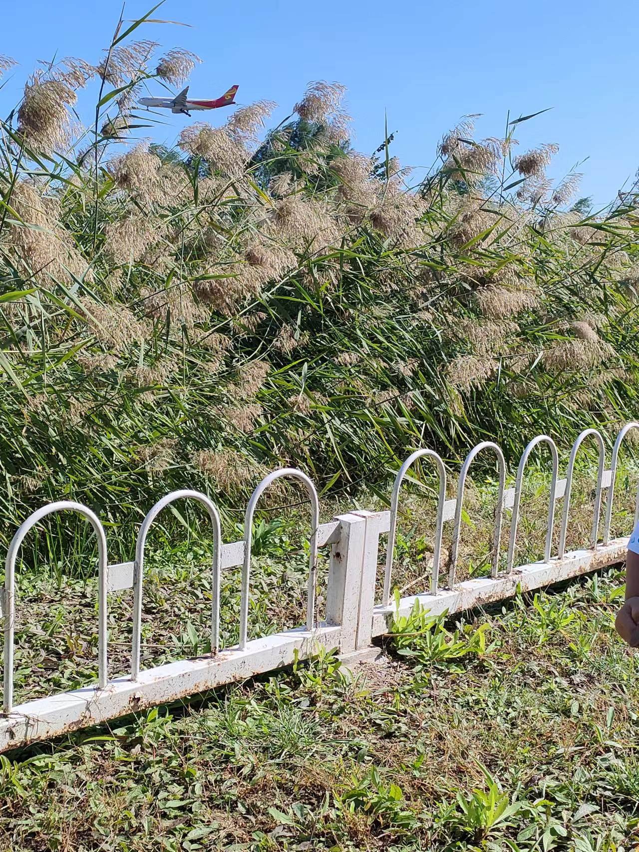 天竺郊野公园旅行图片 2