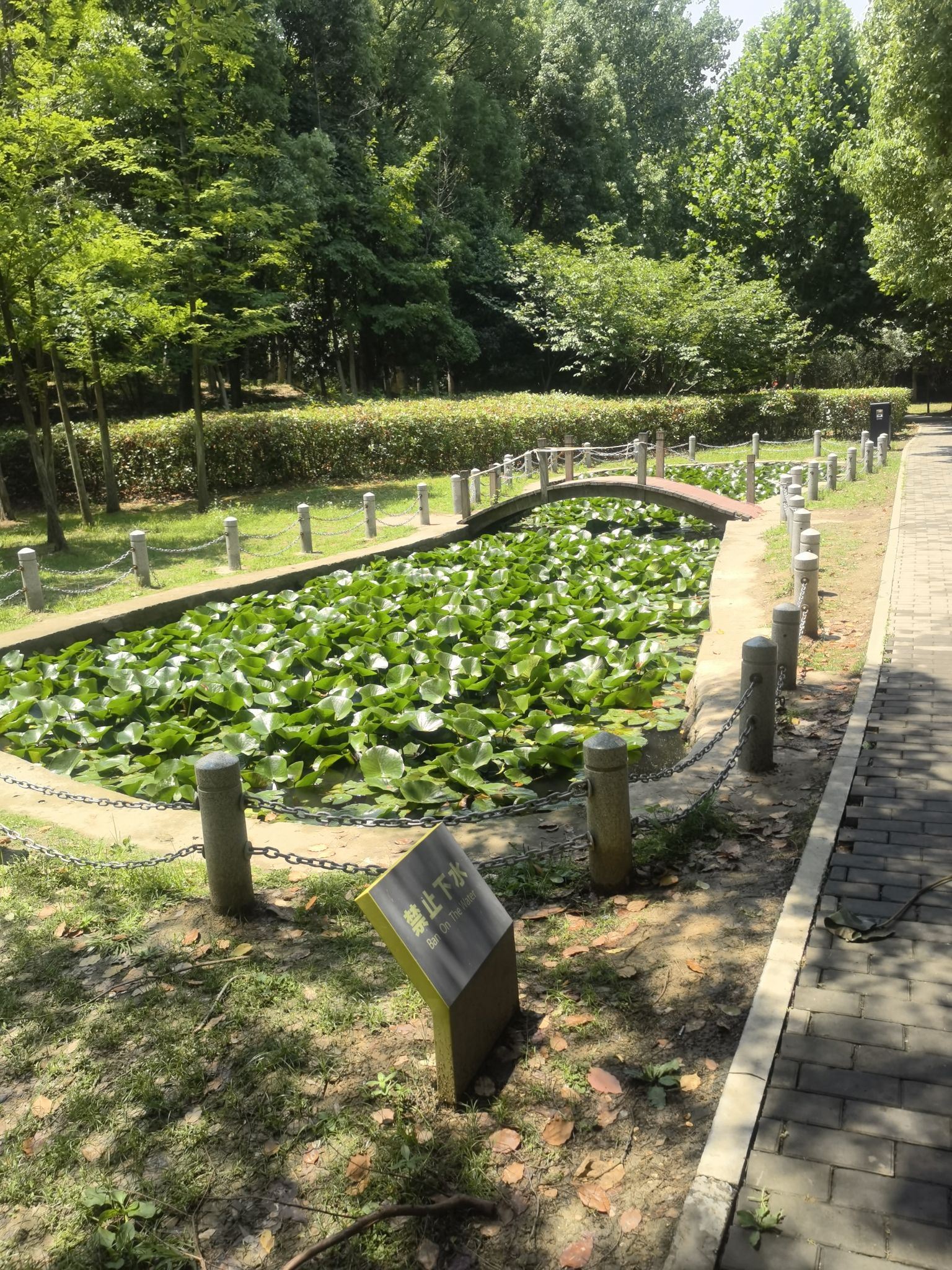 天水体育公园旅行图片 3