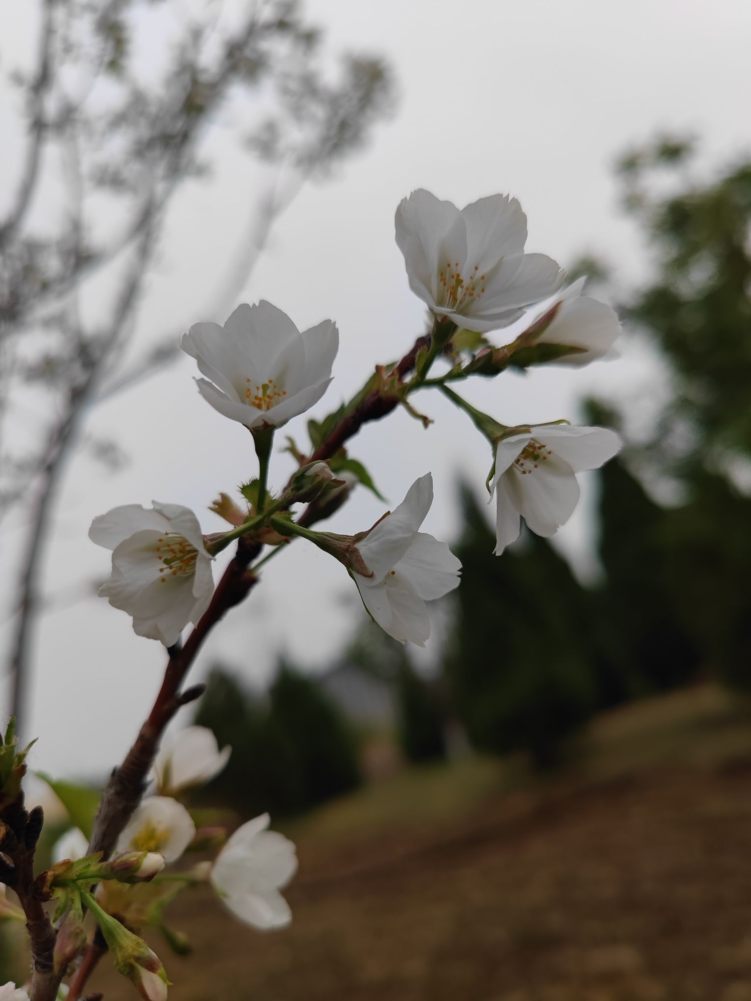 东风公园旅行图片 2