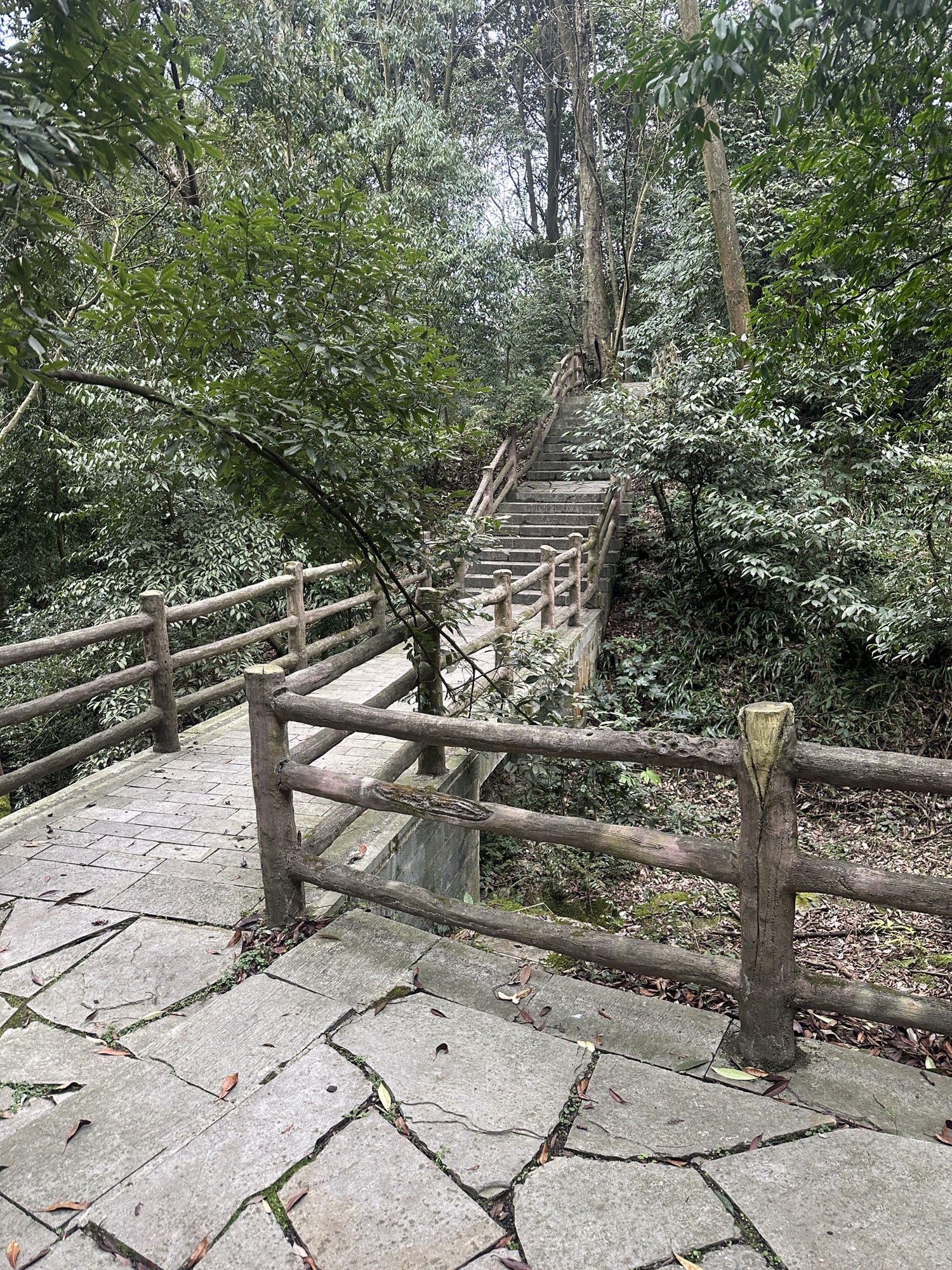 东林公园旅行图片 3