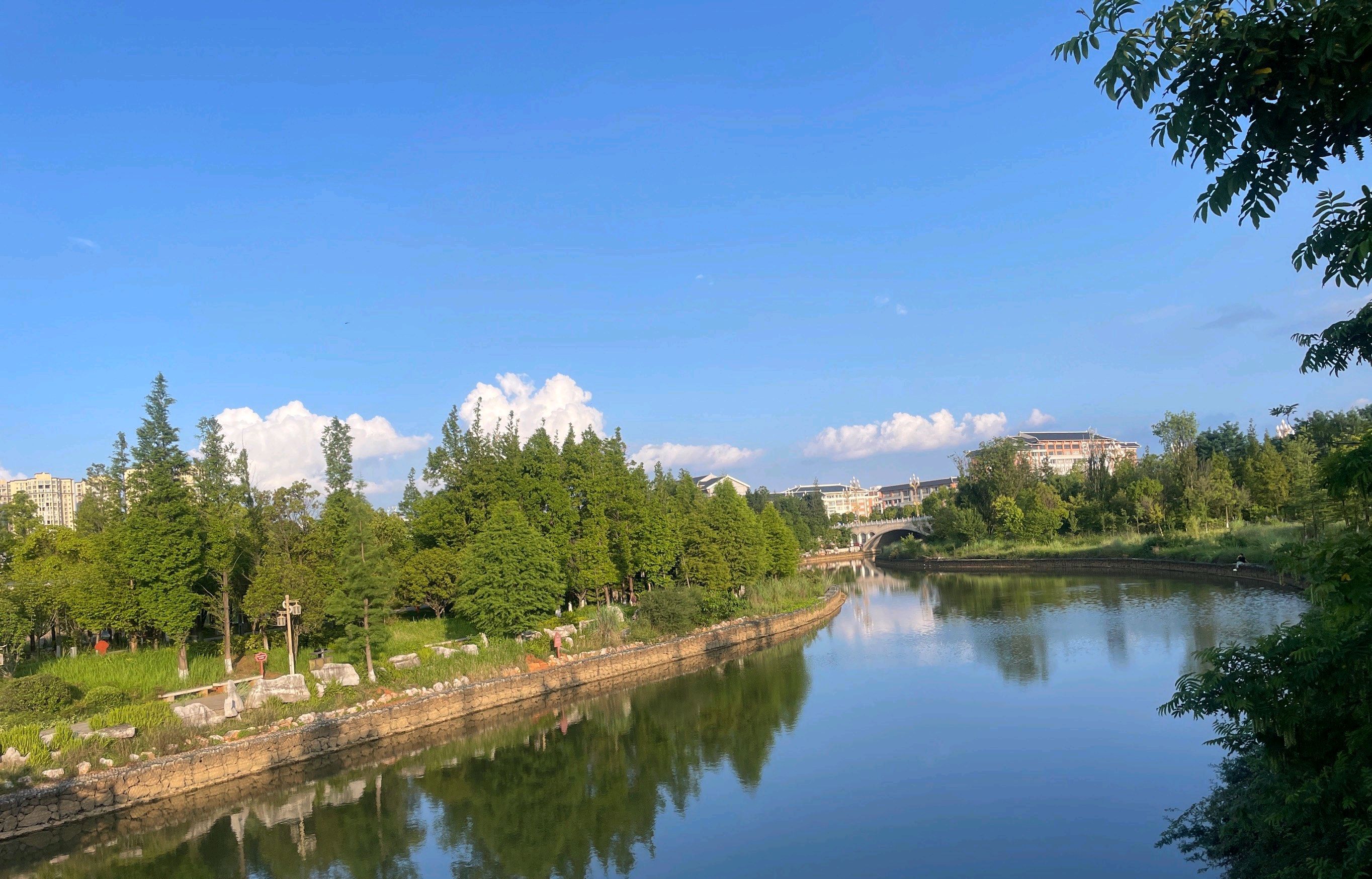 西河公园