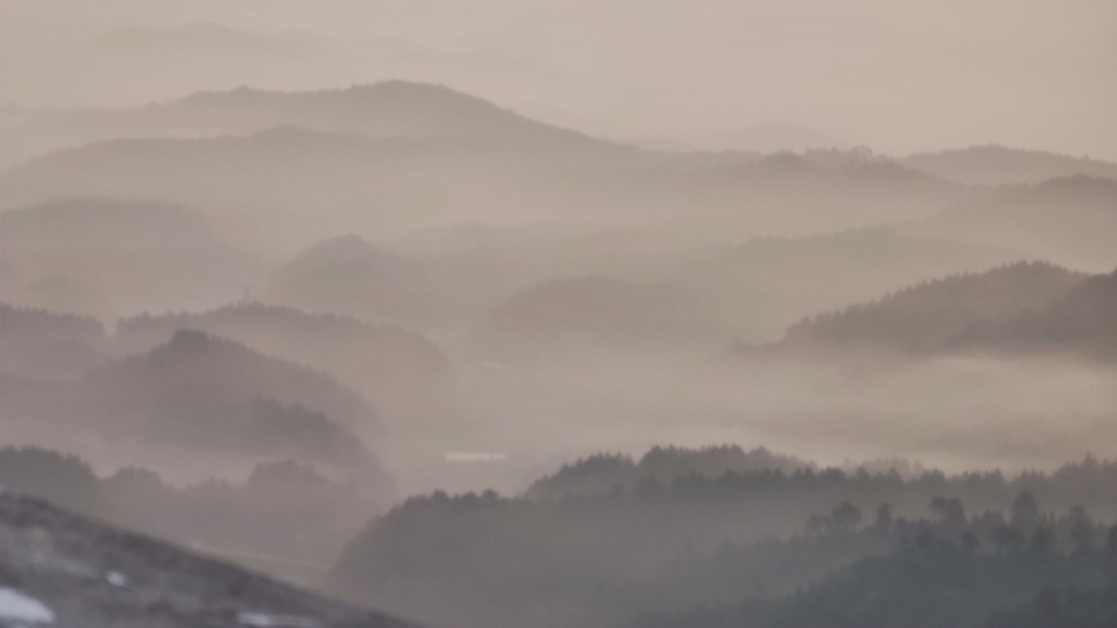 竹鸡岭瞭望塔旅行图片 3