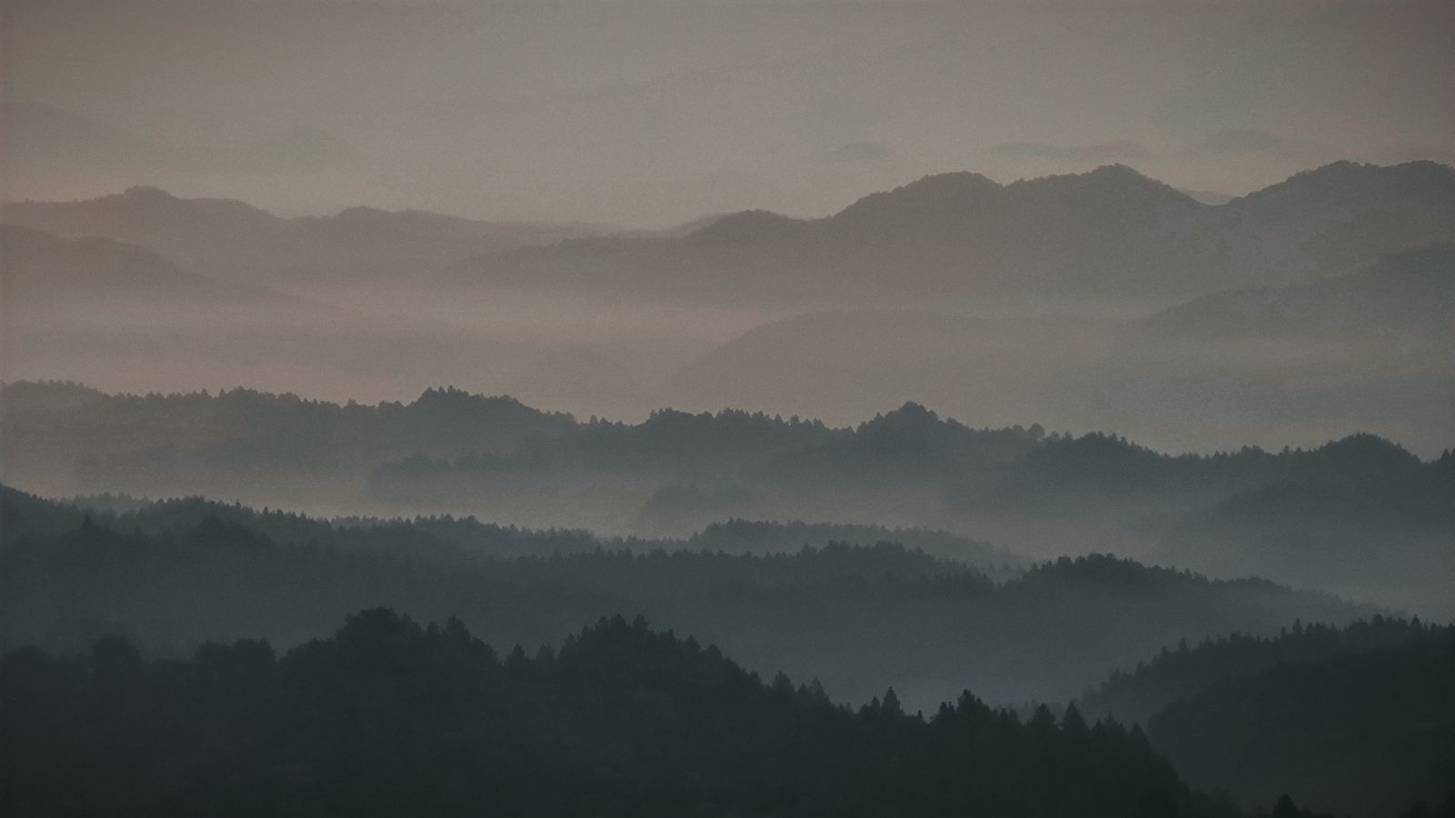 竹鸡岭瞭望塔旅行图片 1