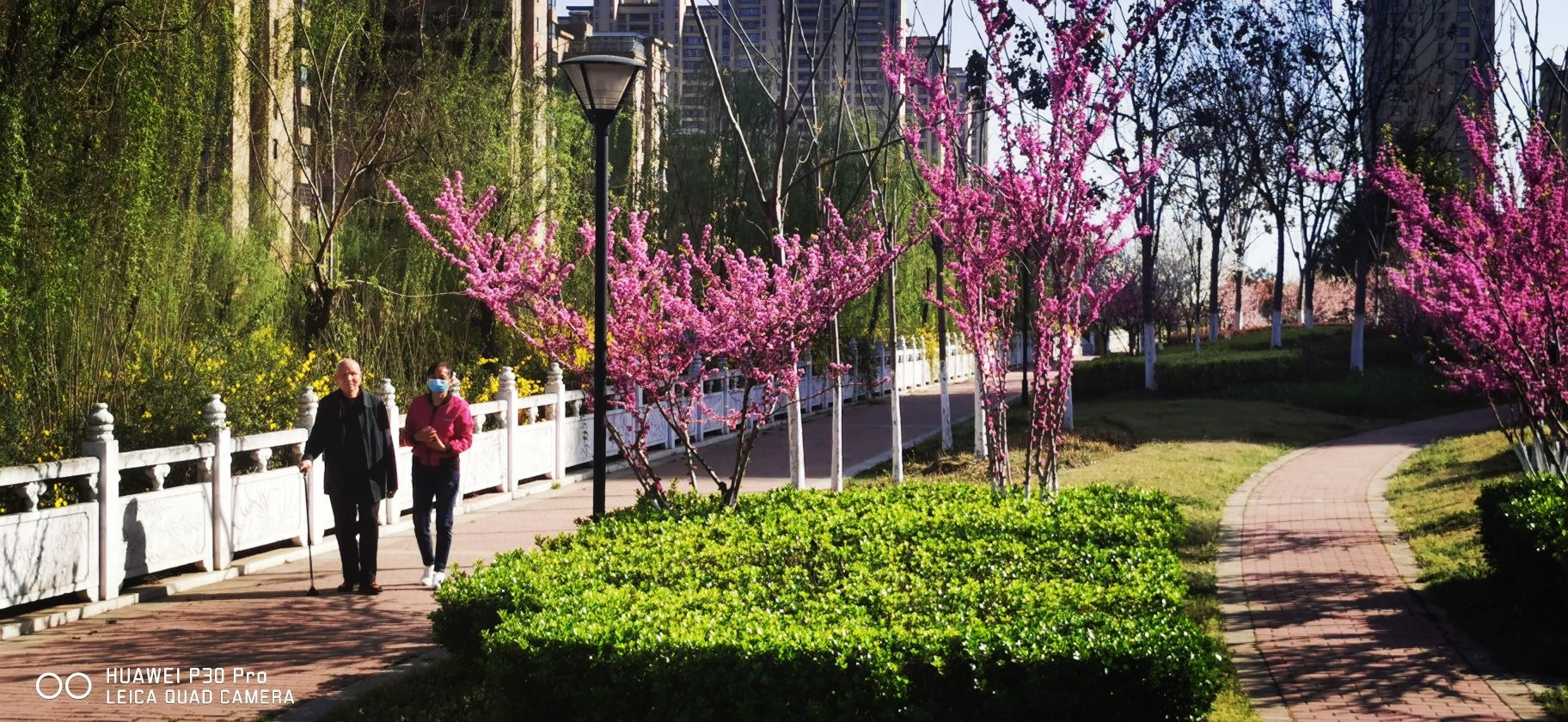 明强公园旅行图片 3