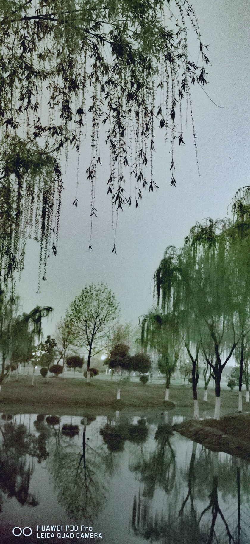 明强公园旅行图片 2