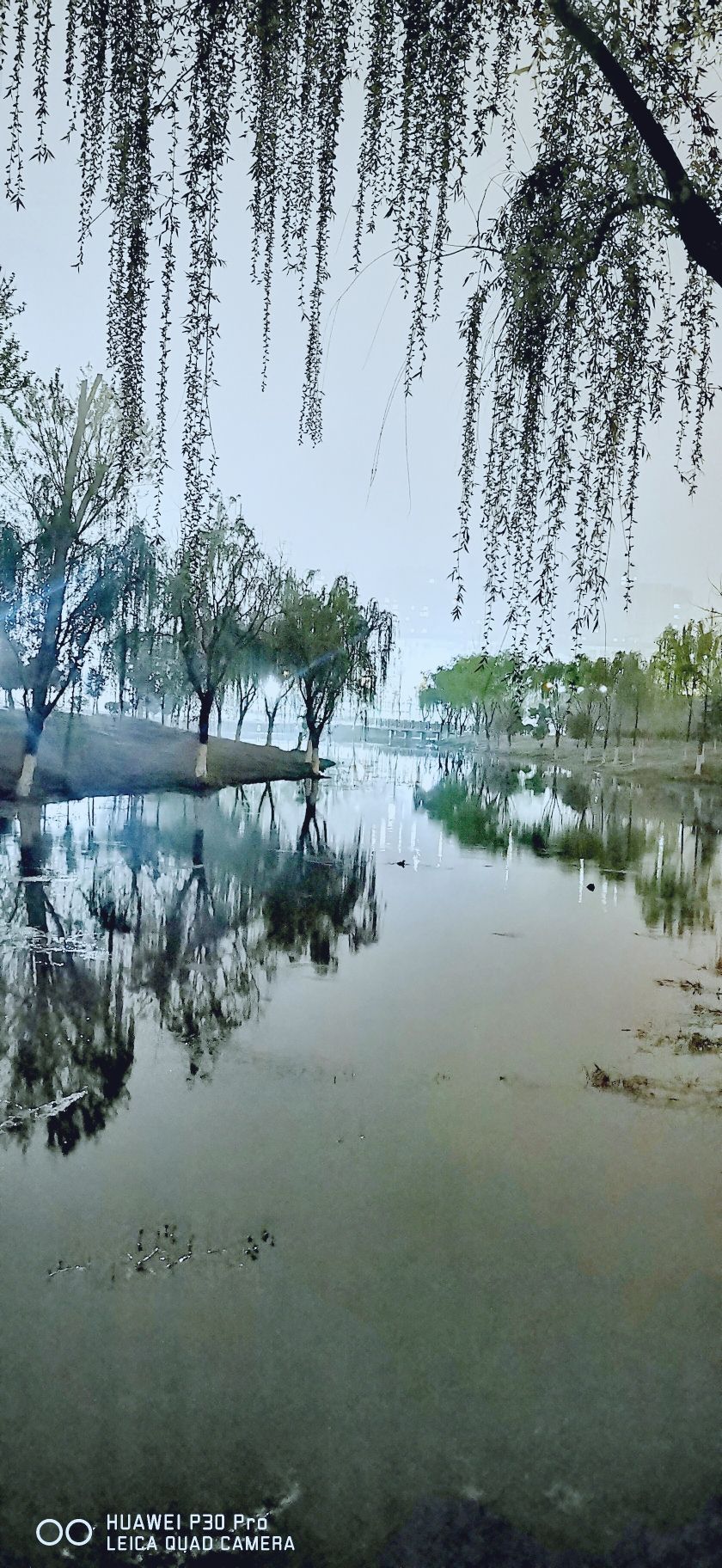 明强公园旅行图片 1