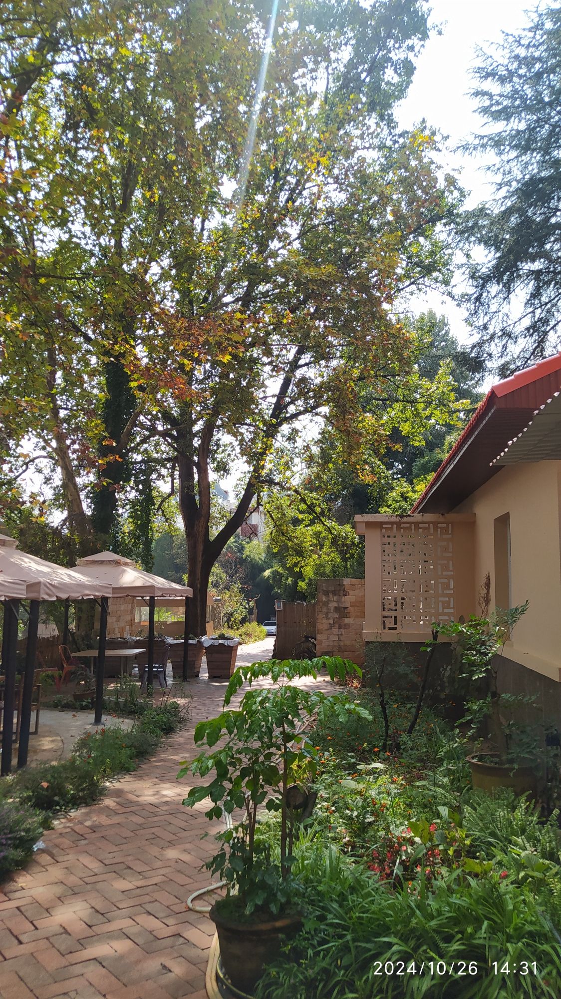 中国科学院昆明植物研究所餐厅