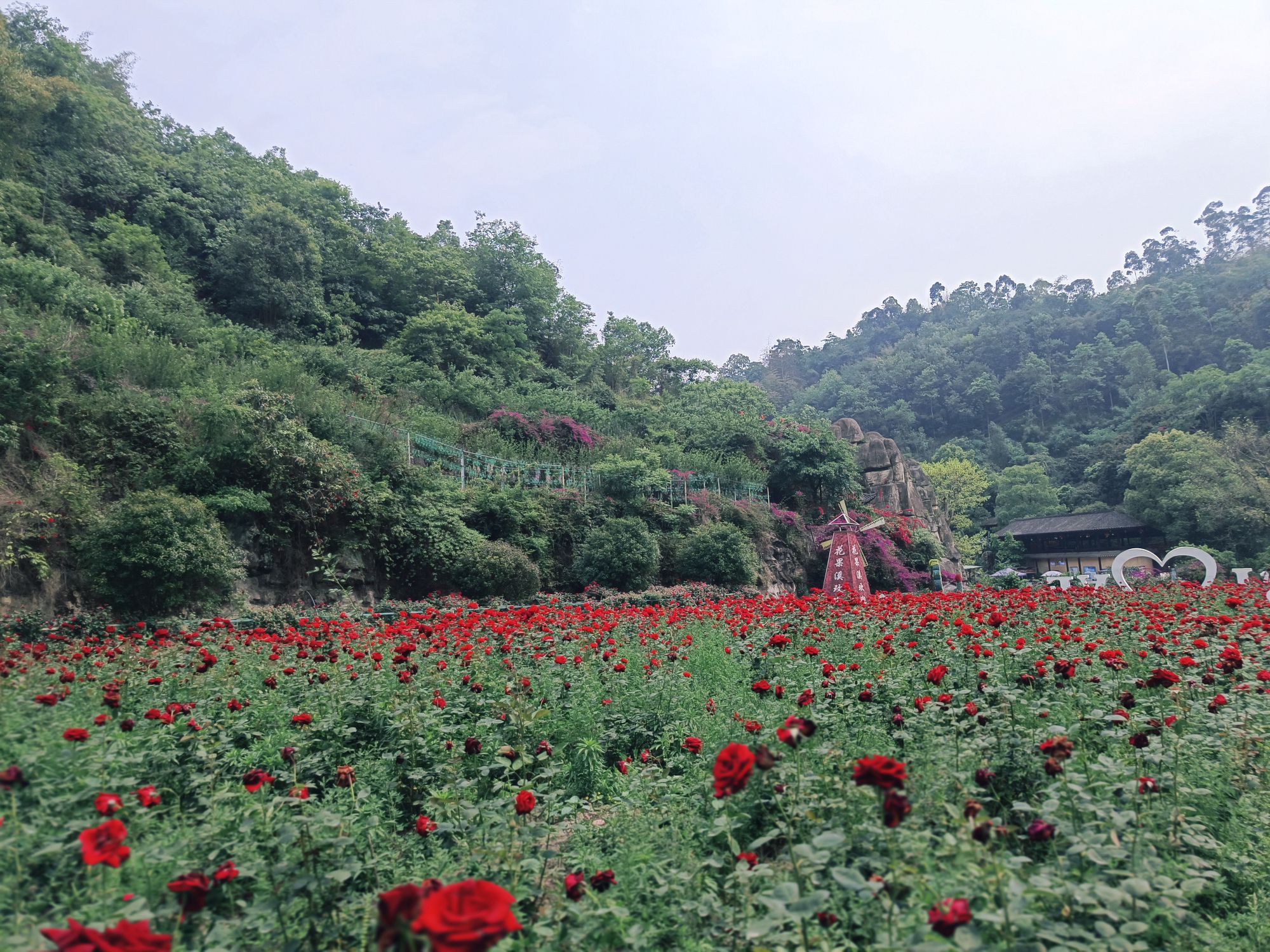 古郡花果溪旅行图片 3