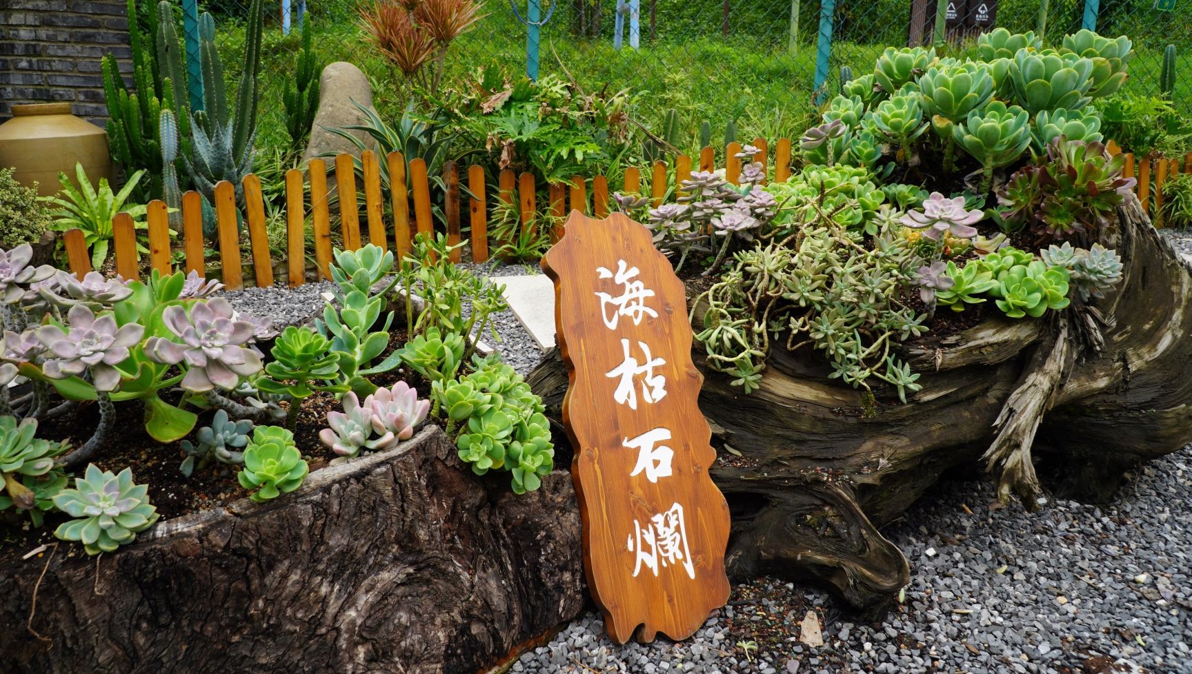 古郡花果溪旅行图片 3