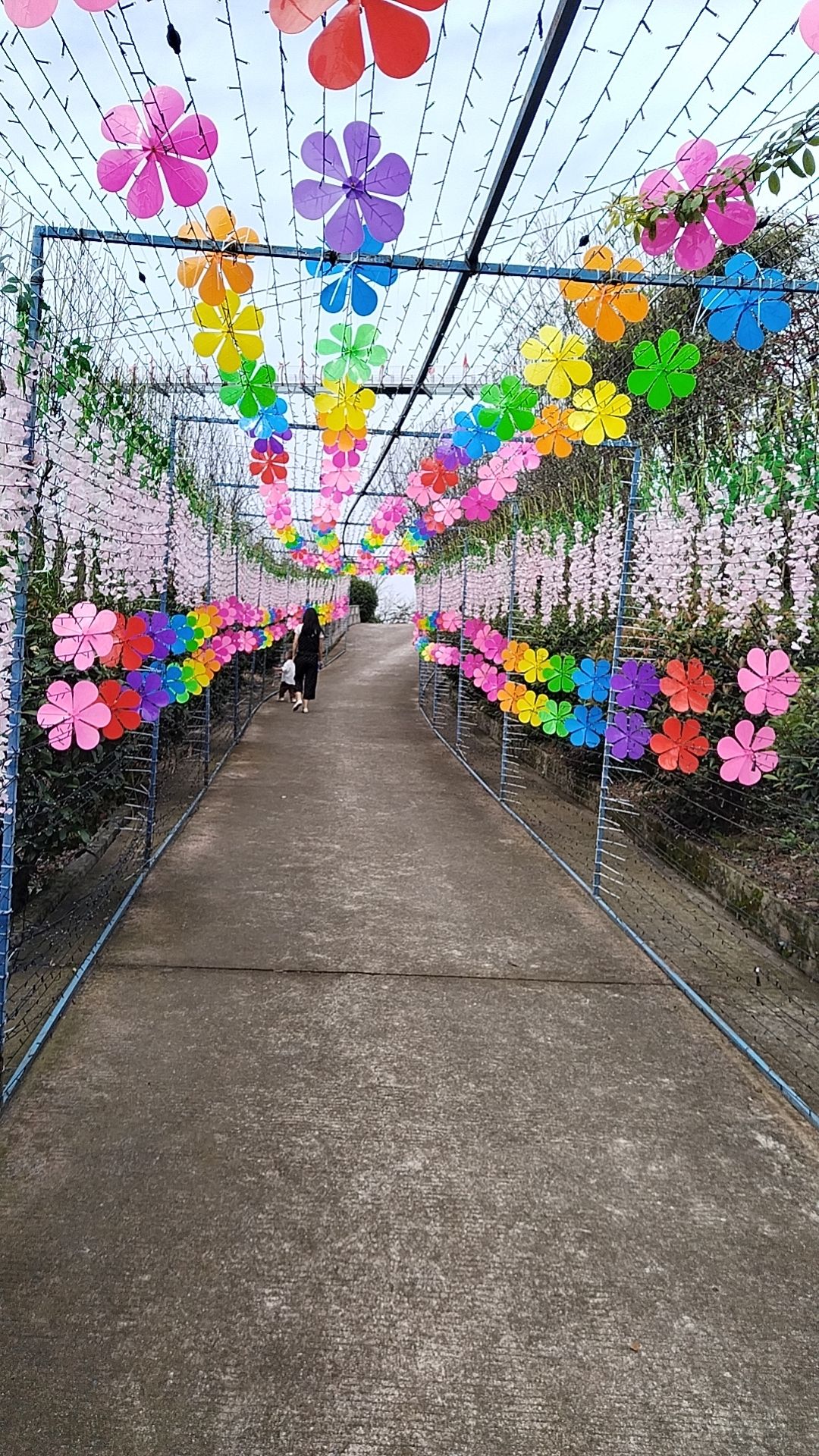 古郡花果溪旅行图片 1