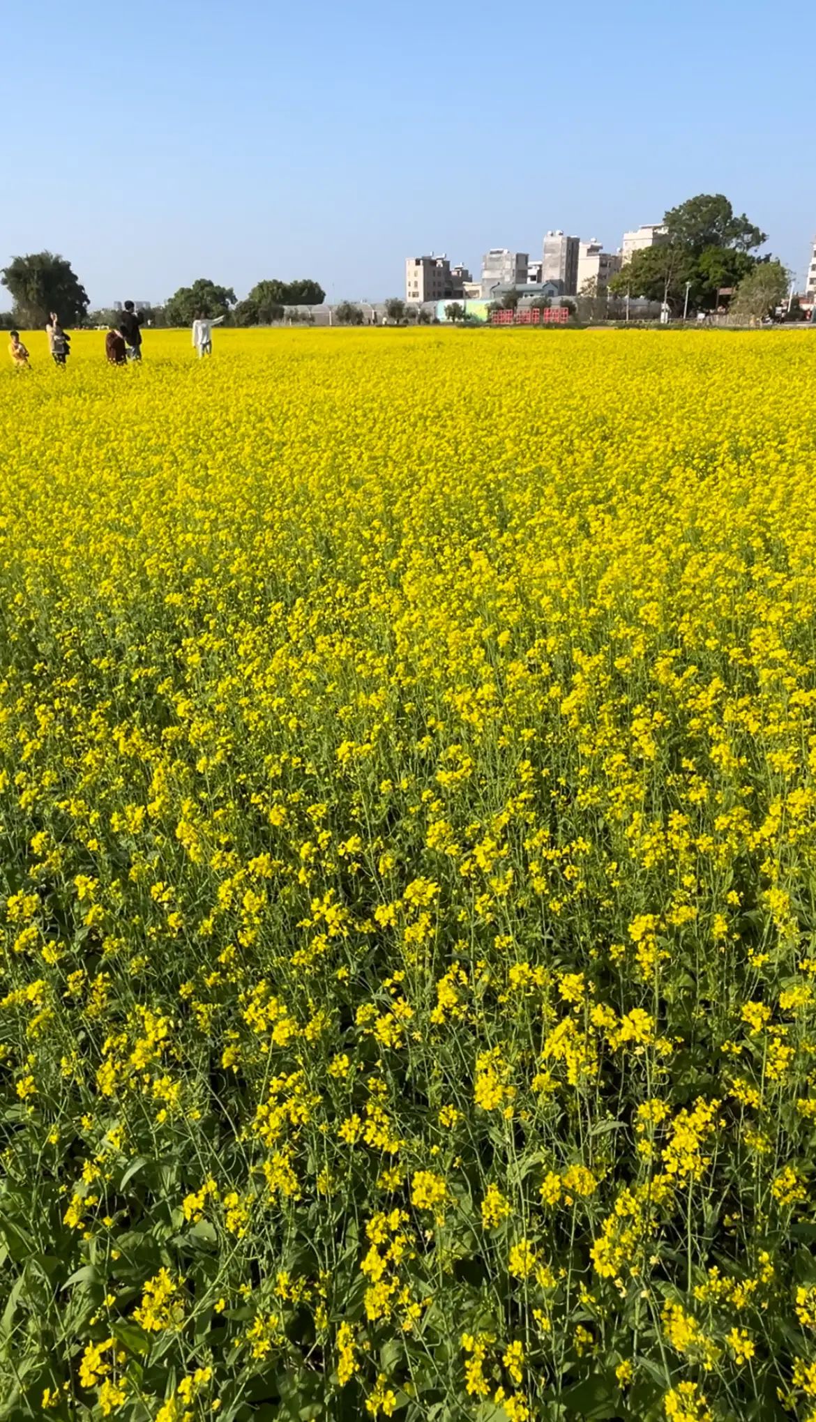 古郡花果溪旅行图片 3