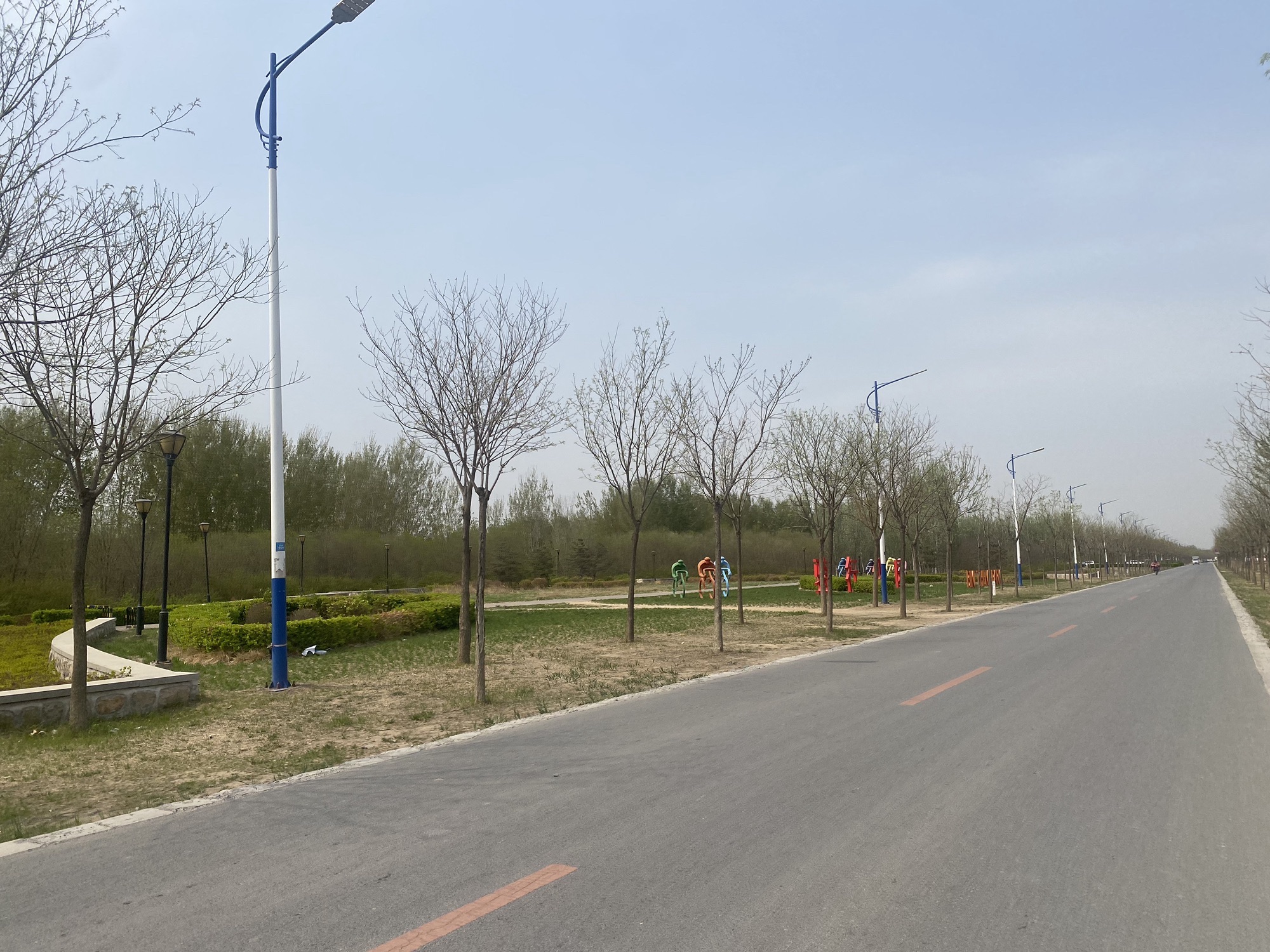 骑行公园旅行图片 2
