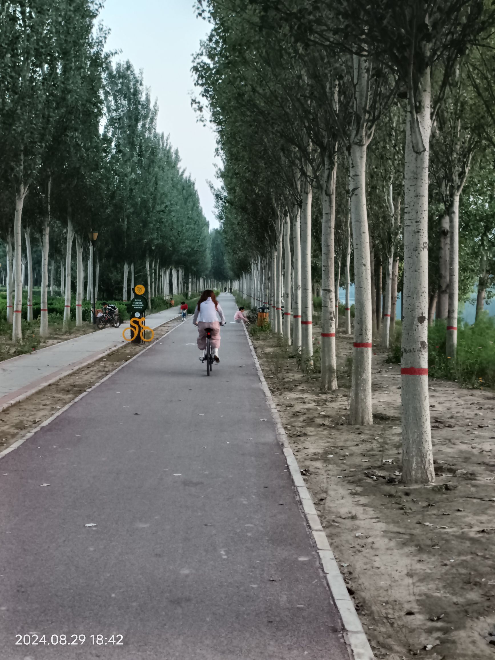 骑行公园旅行图片 3