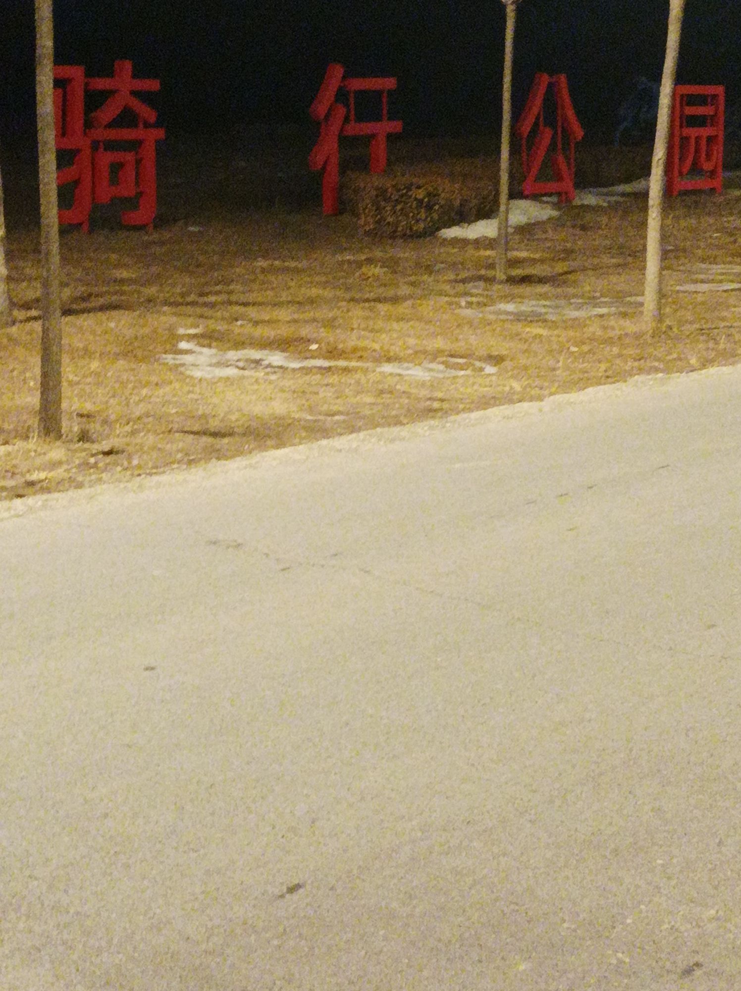 骑行公园旅行图片 2