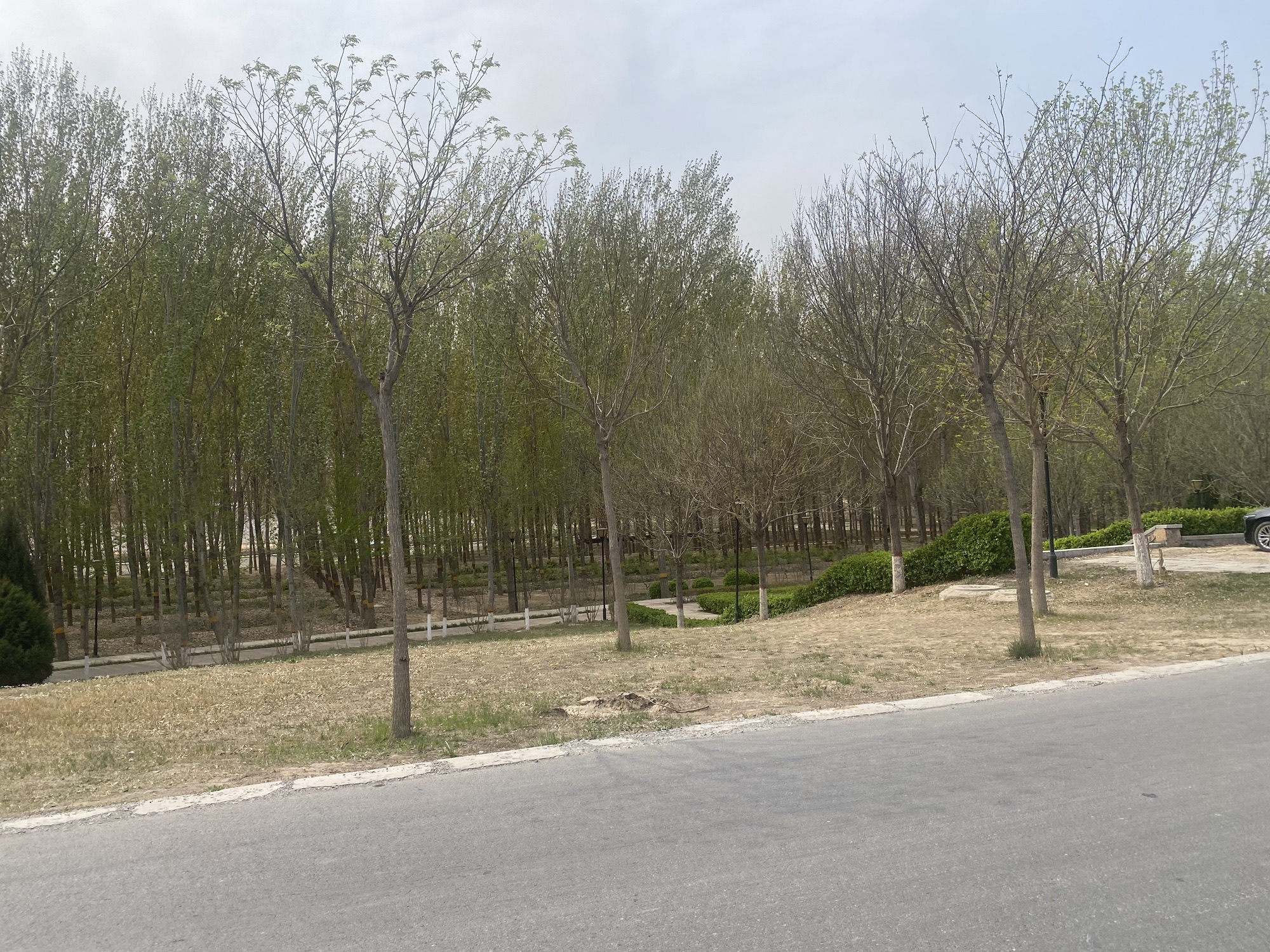 骑行公园旅行图片 3