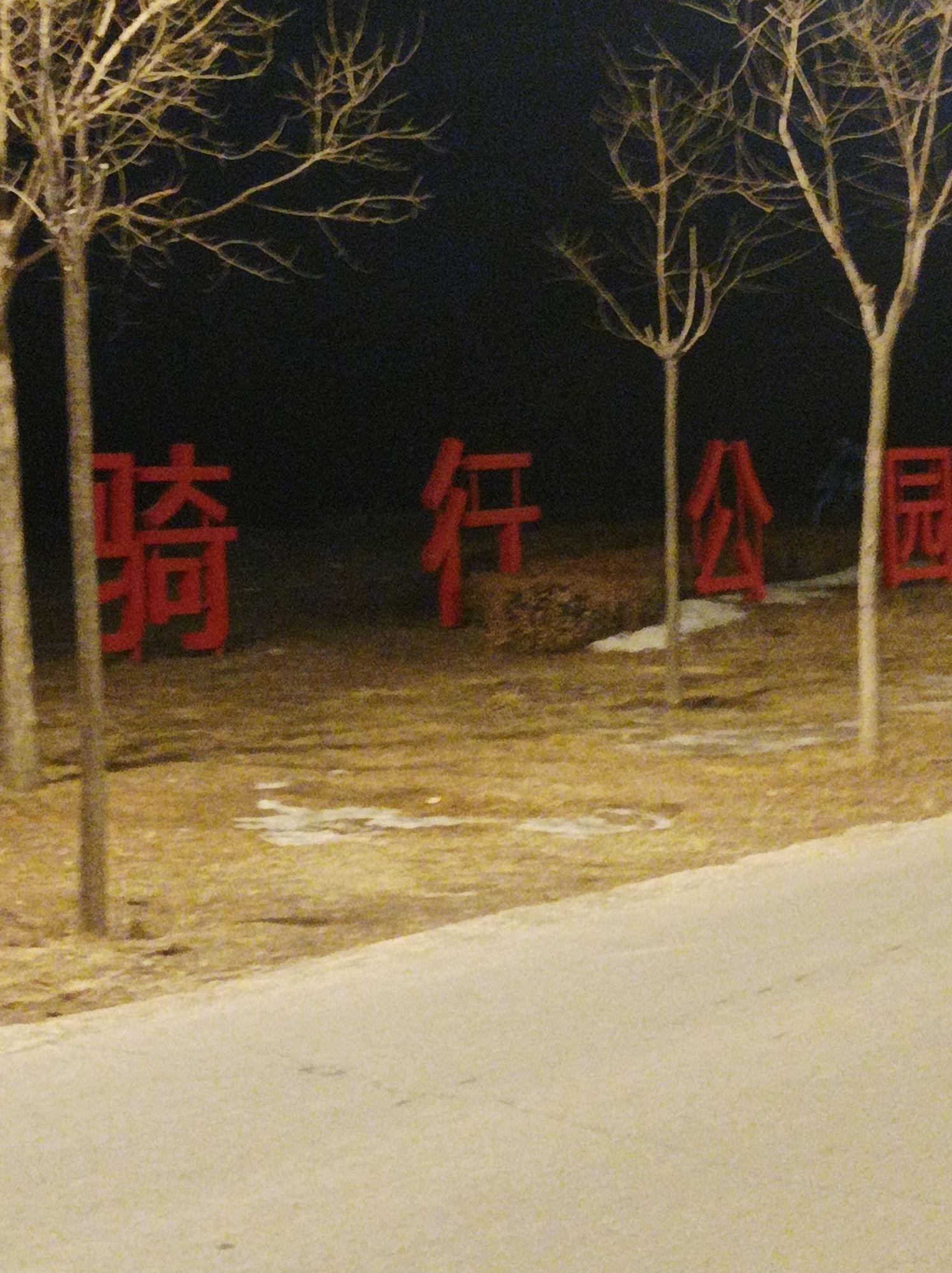 骑行公园旅行图片 1